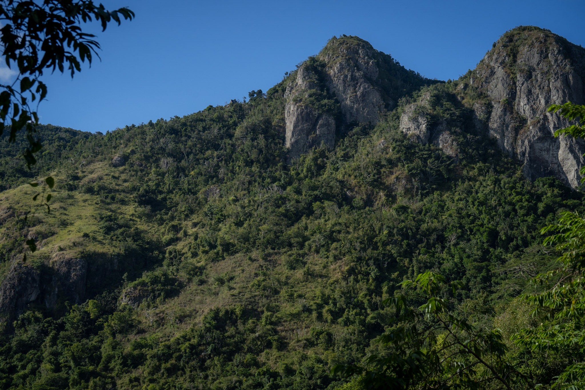 Cayey - foto 52