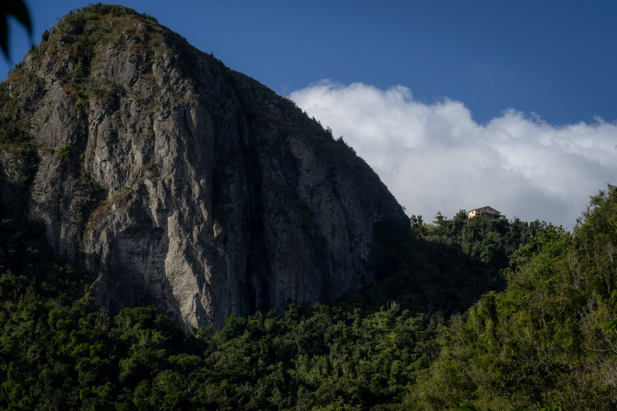 Cayey - foto 79