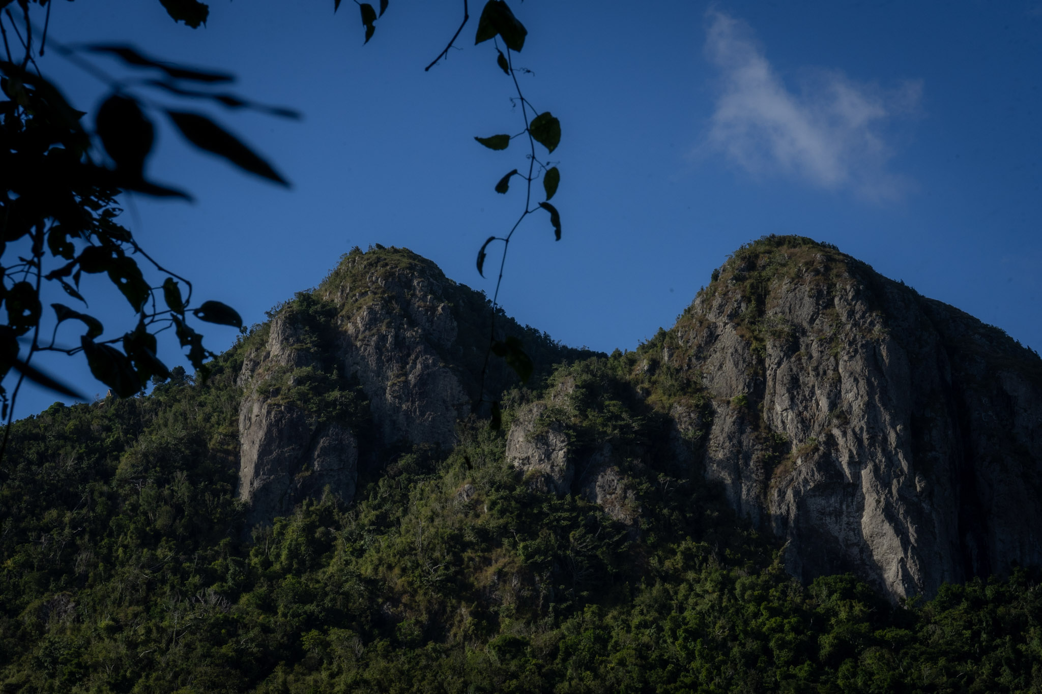 Cayey - foto 80