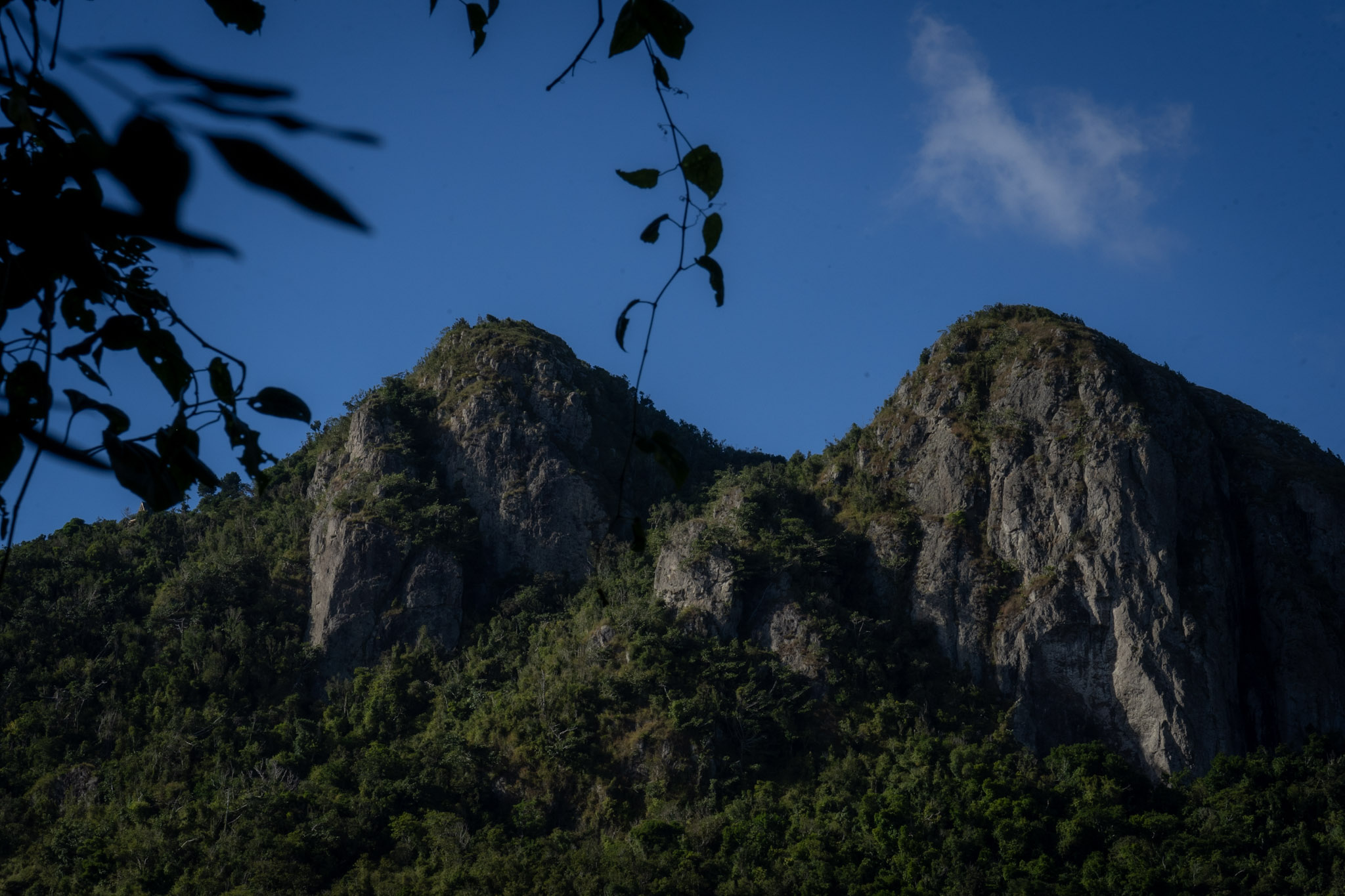 Cayey - foto 81