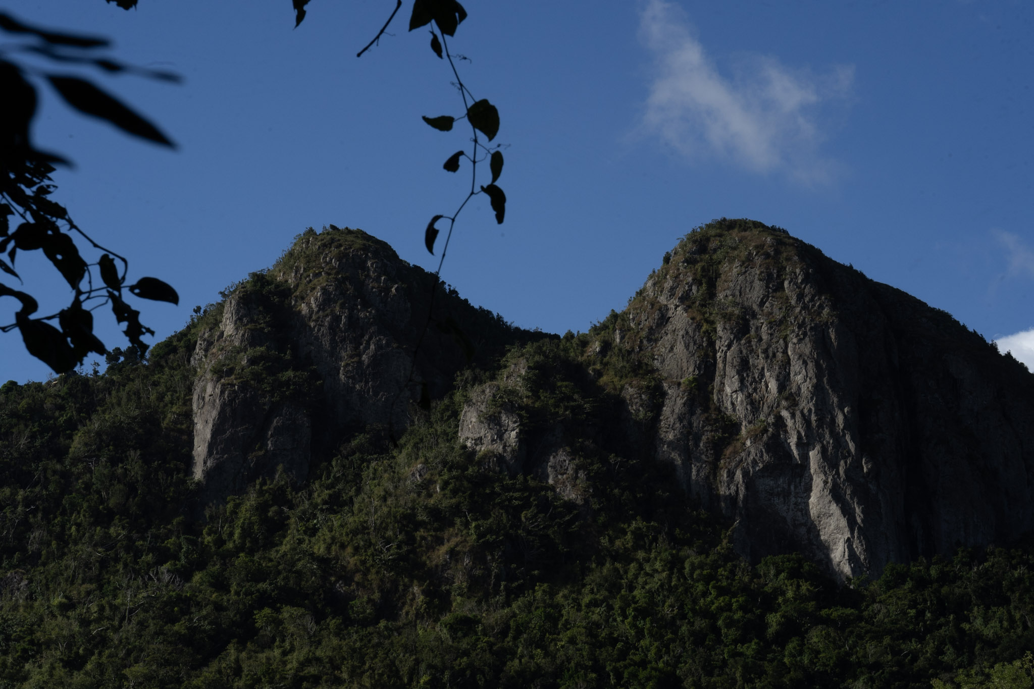 Cayey - foto 82