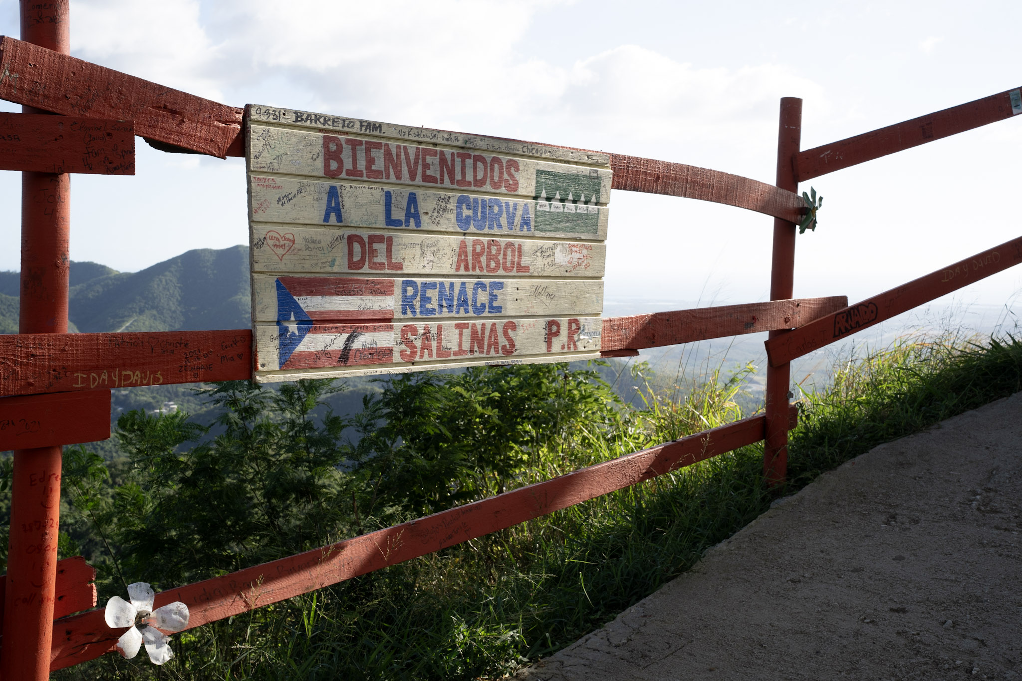Cayey - foto 84