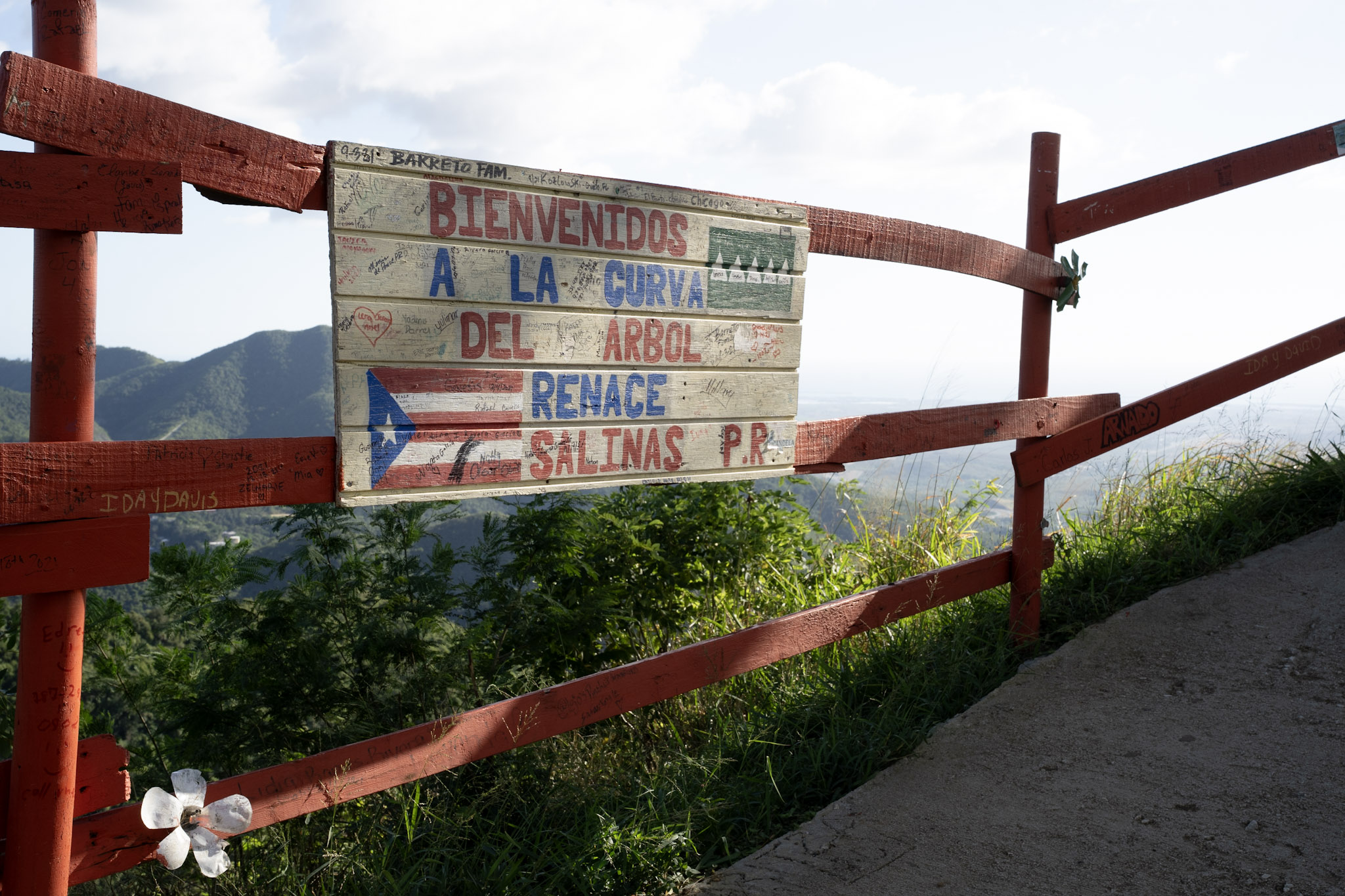 Cayey - foto 85