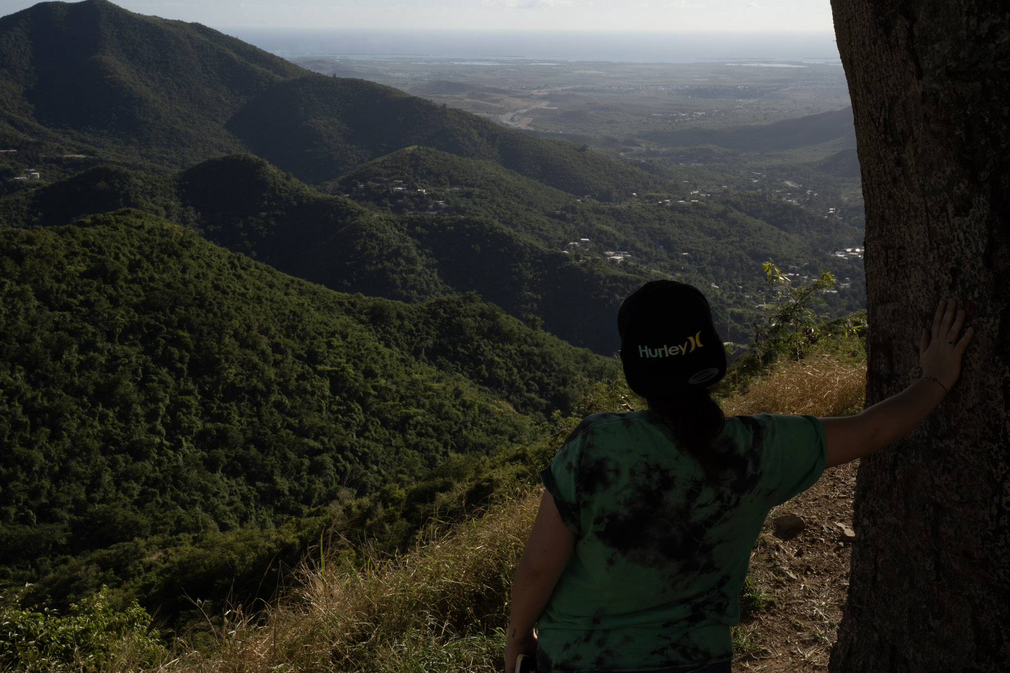 Cayey - foto 115