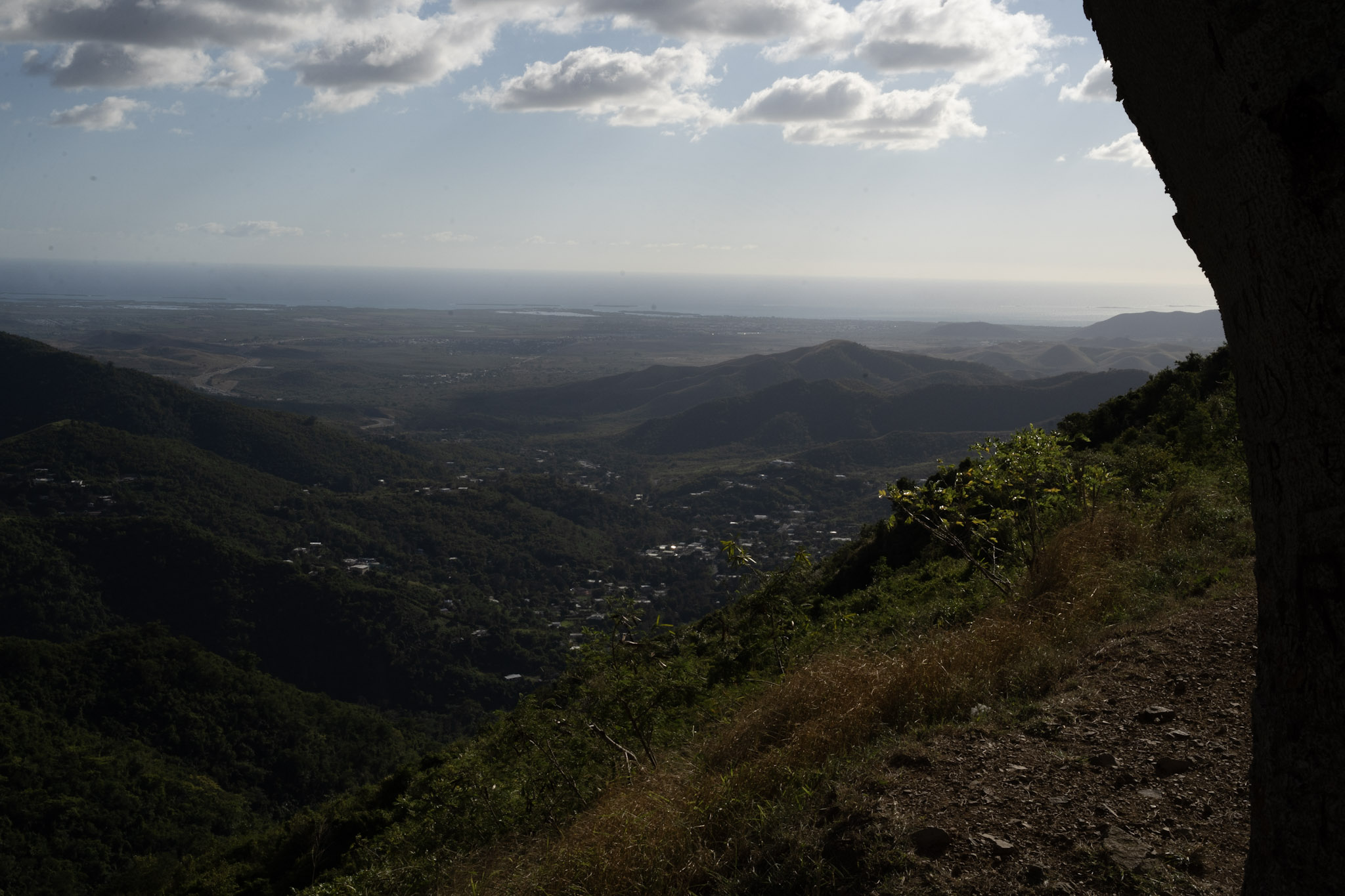 Cayey - foto 120