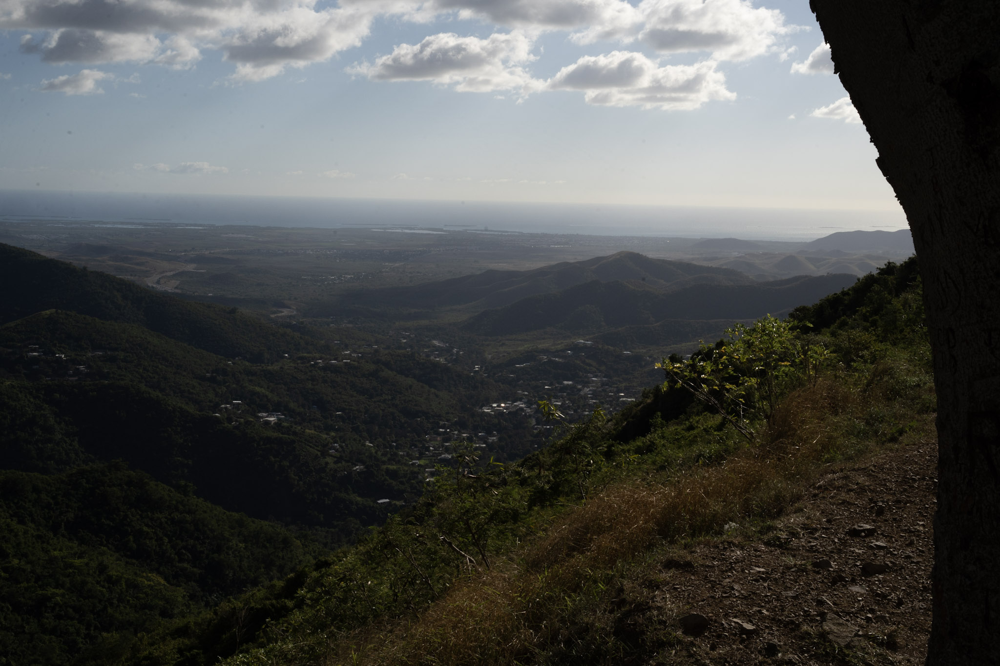 Cayey - foto 121