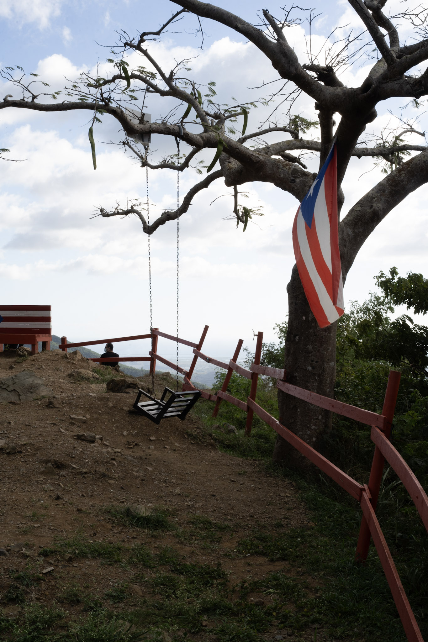 Cayey - foto 141