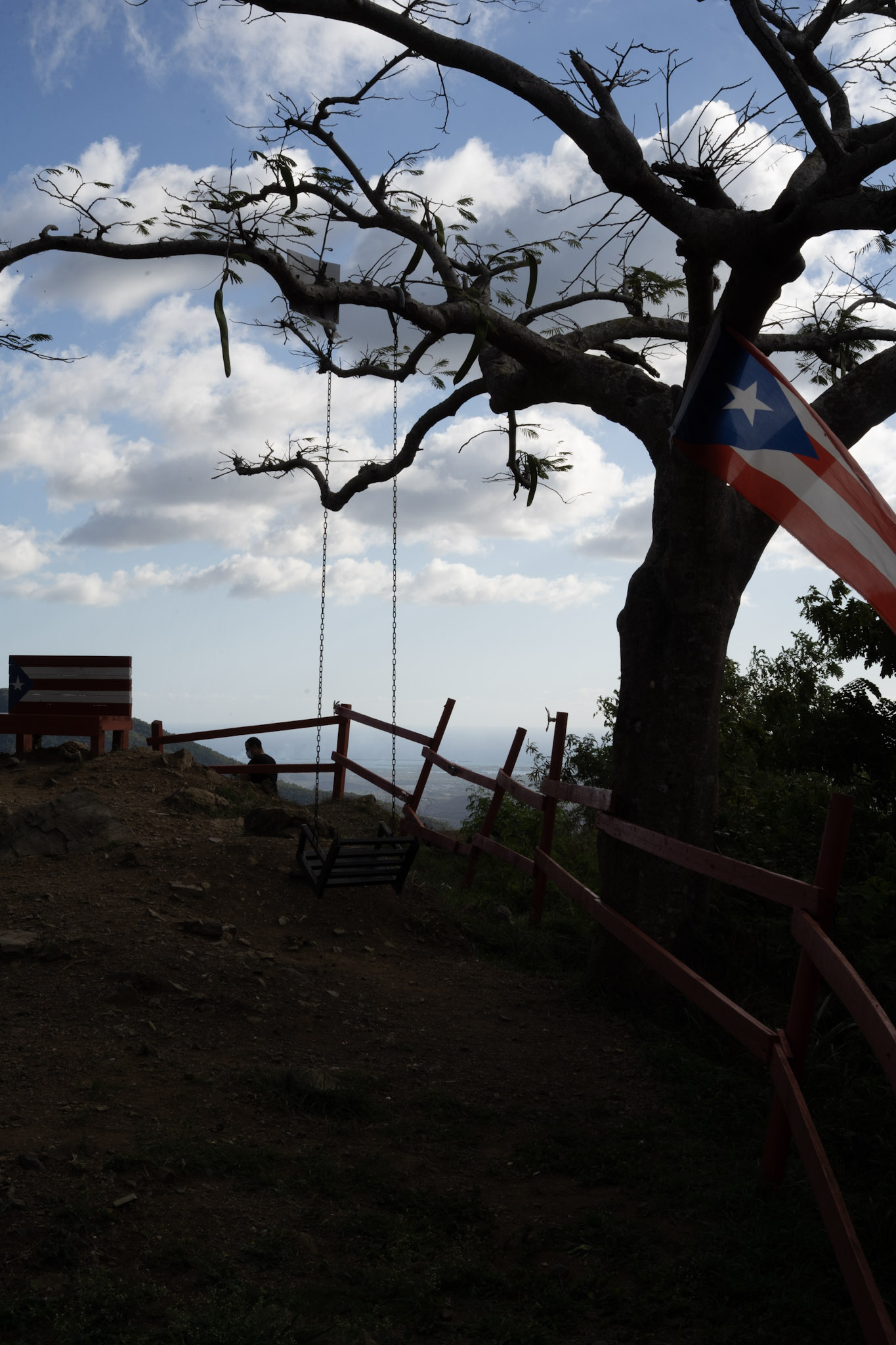 Cayey - foto 142