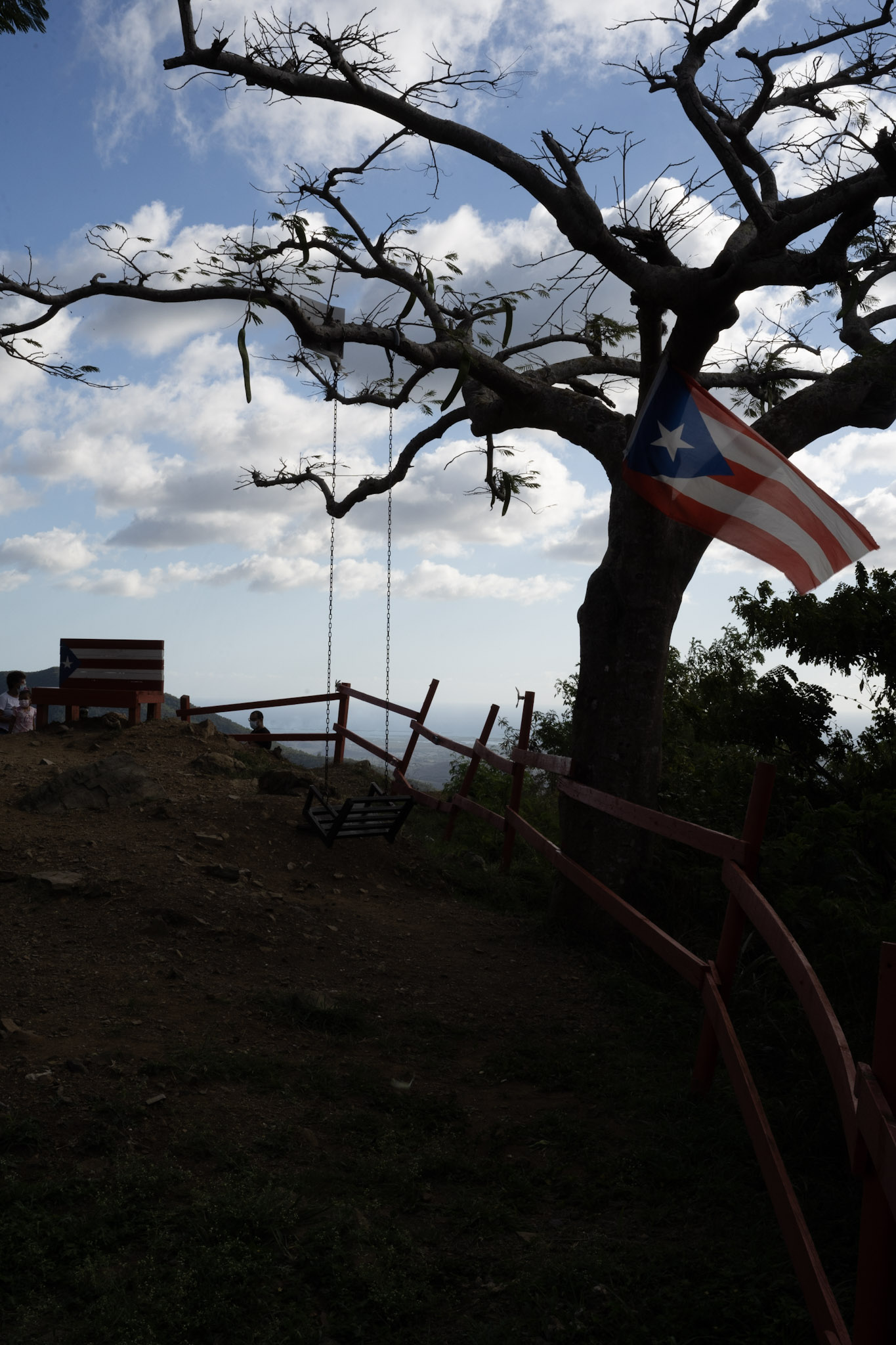 Cayey - foto 144