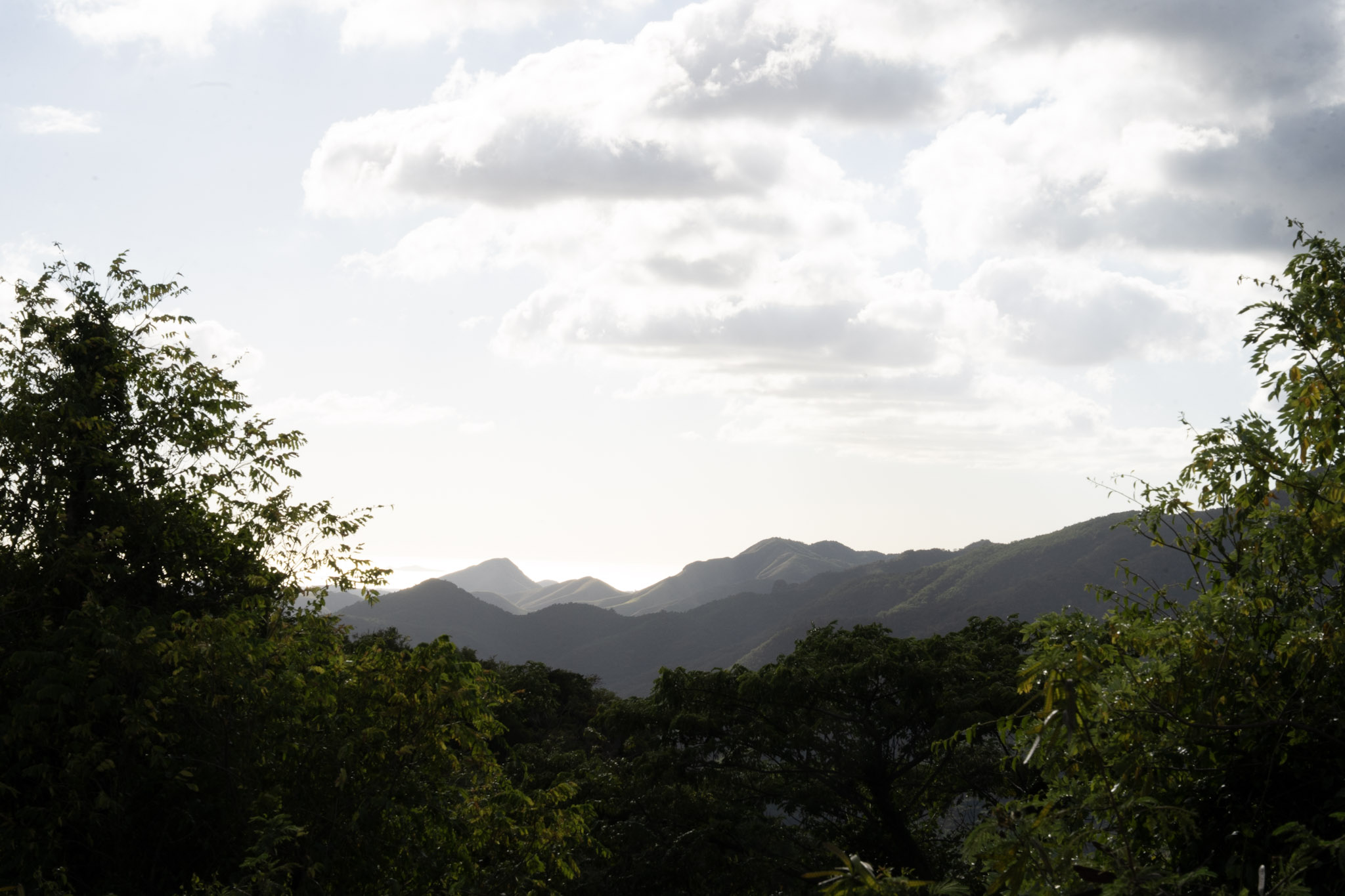 Cayey - foto 150