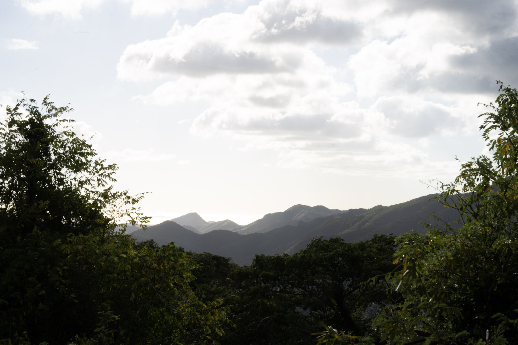 Cayey - foto 151