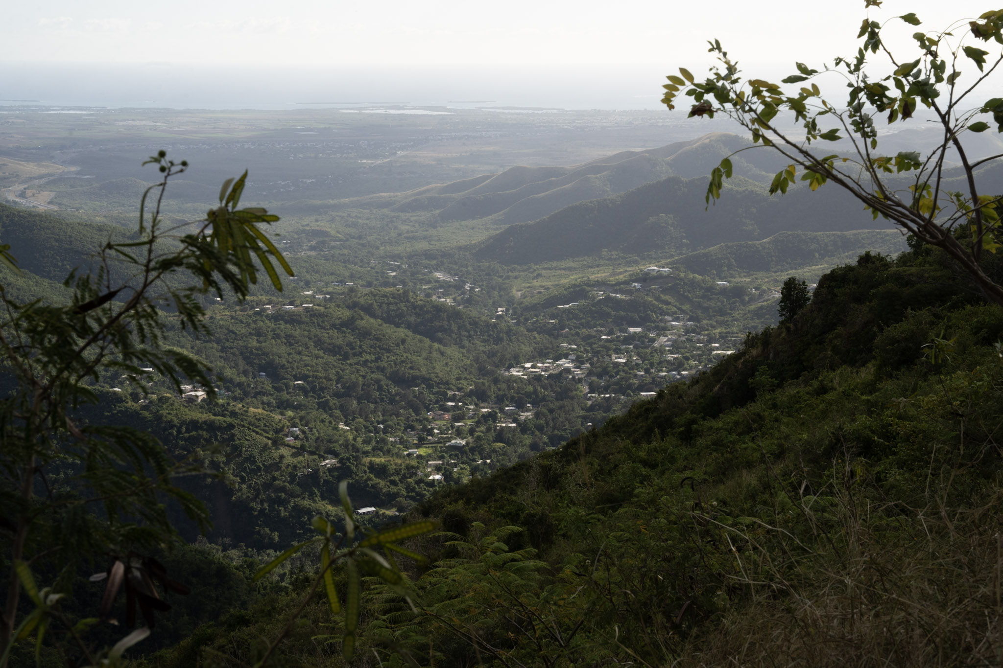 Cayey - foto 154