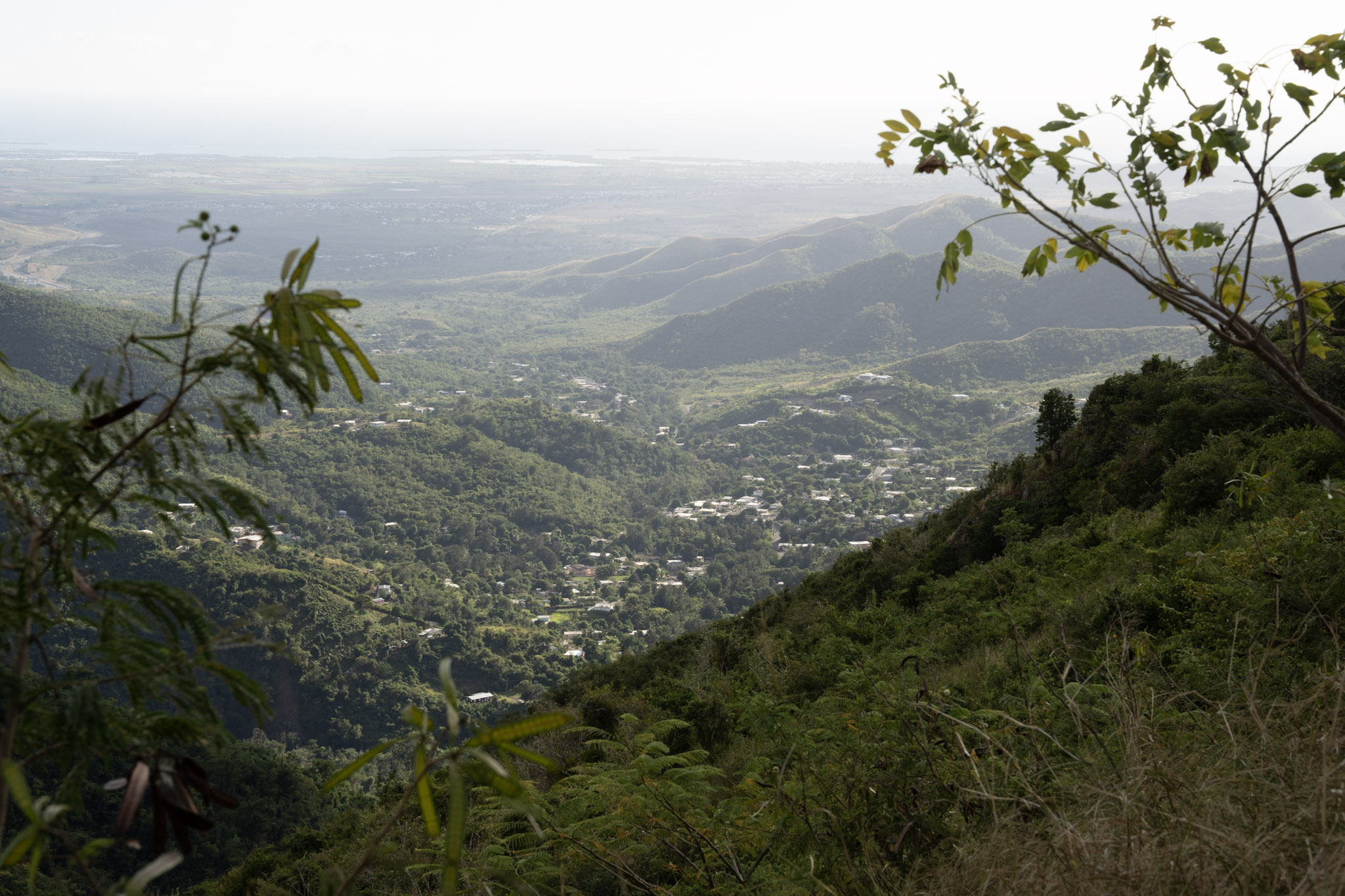 Cayey - foto 156