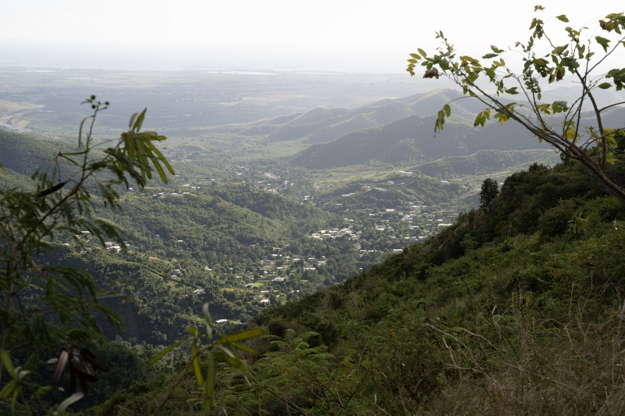 Cayey - foto 157