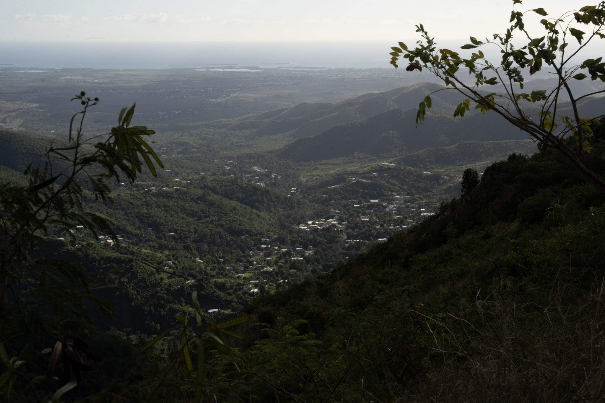 Cayey - foto 158