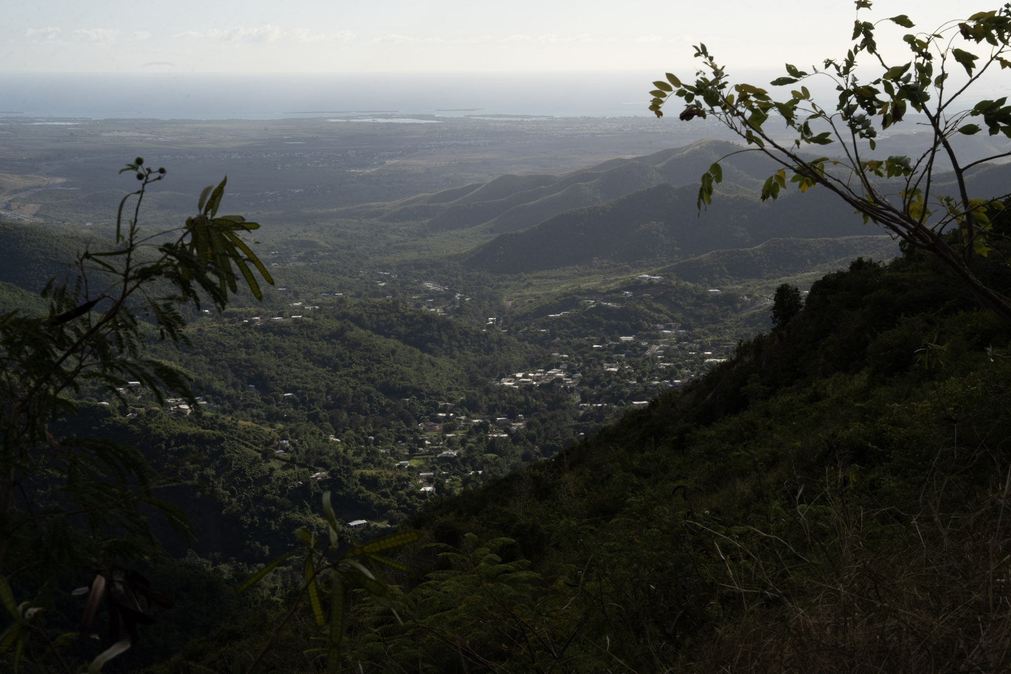 Cayey - foto 159