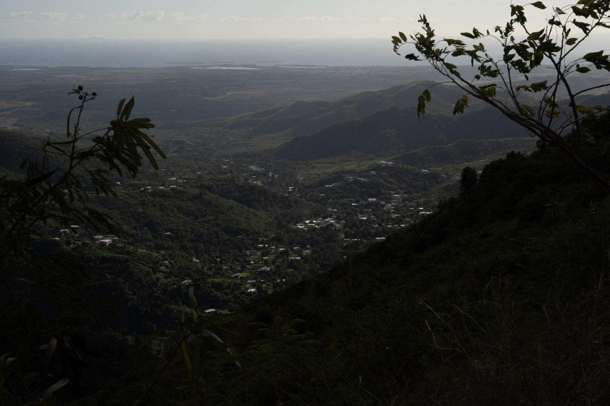 Cayey - foto 160