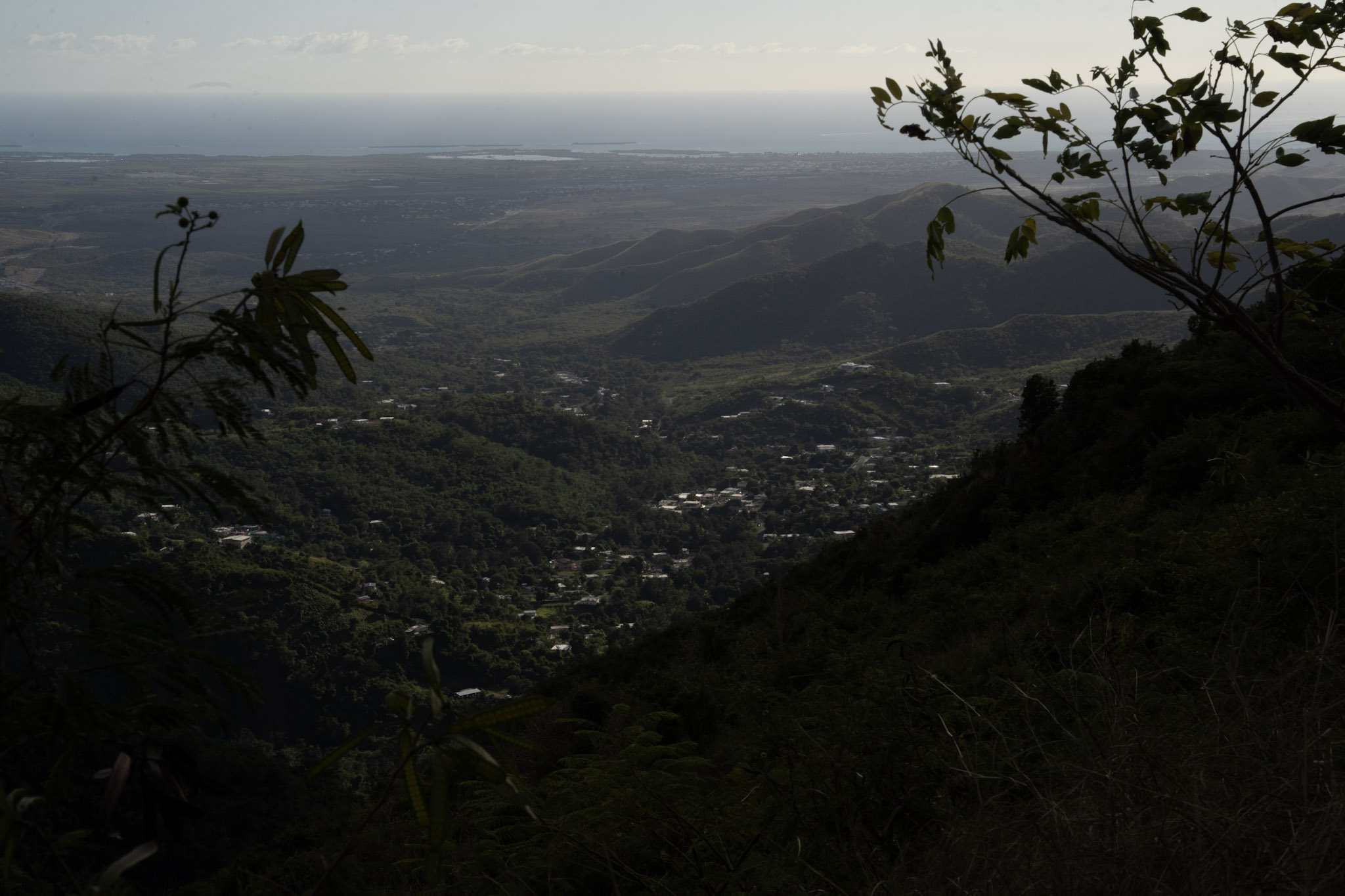 Cayey - foto 161