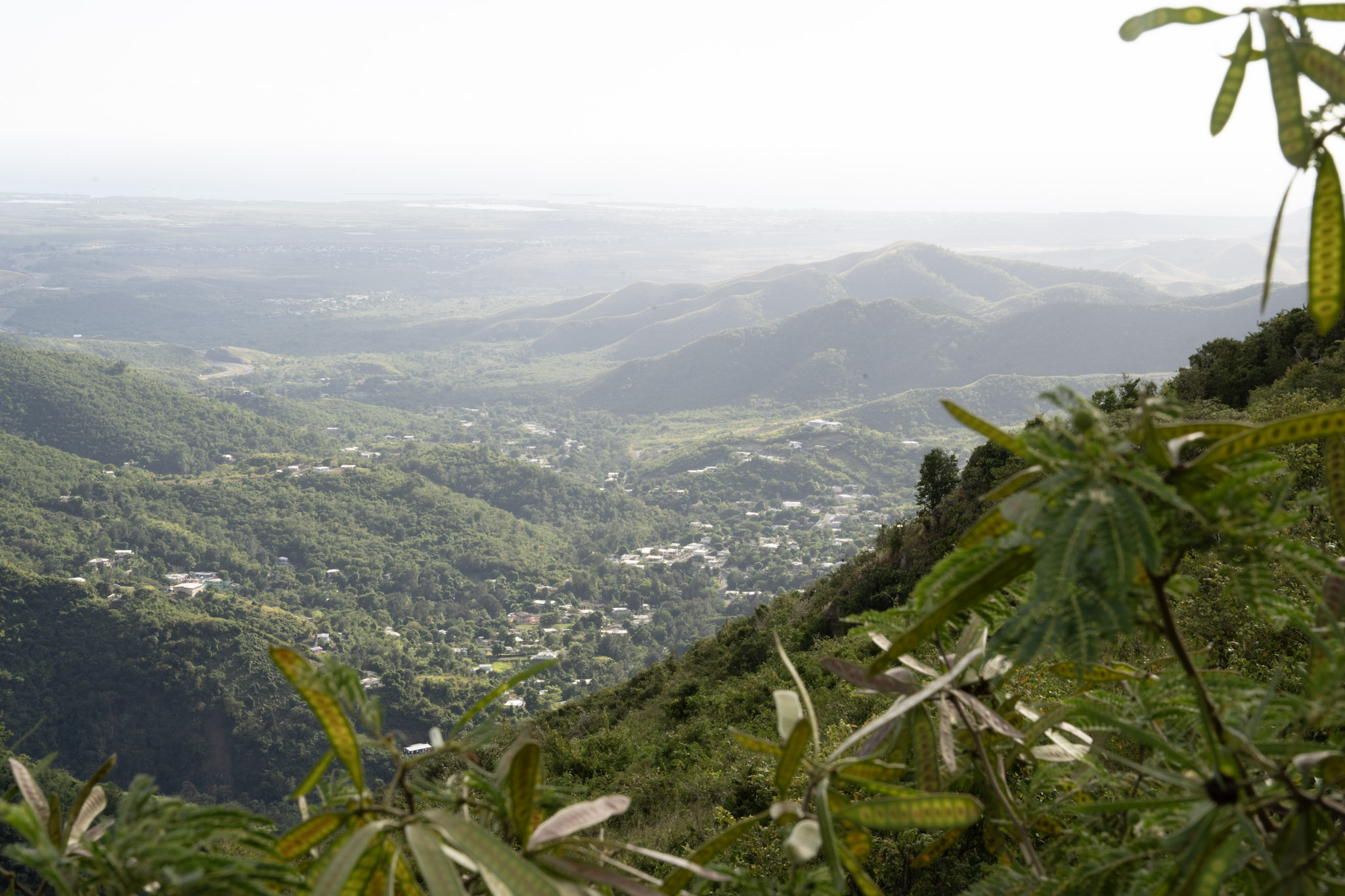 Cayey - foto 162