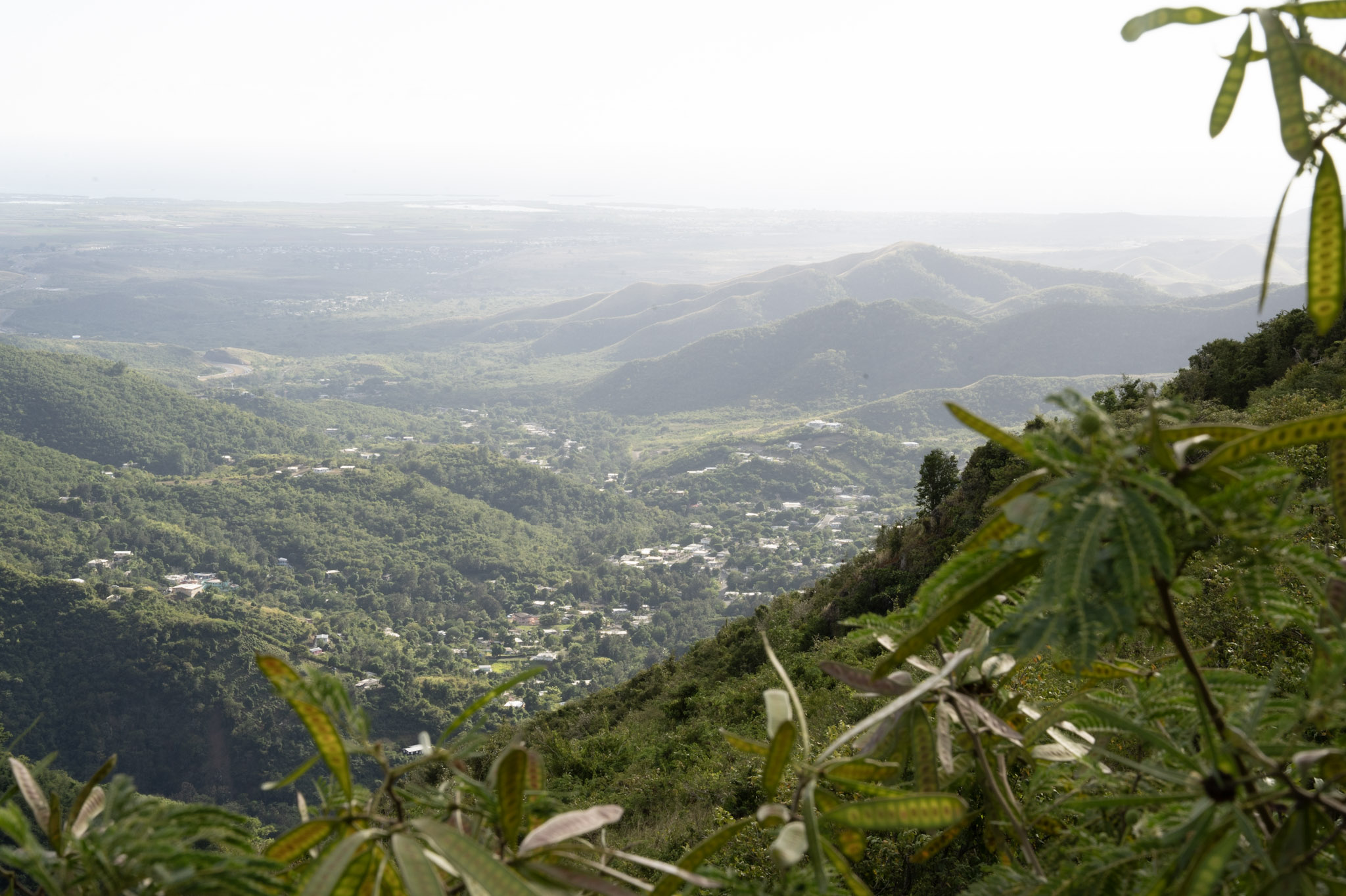 Cayey - foto 163