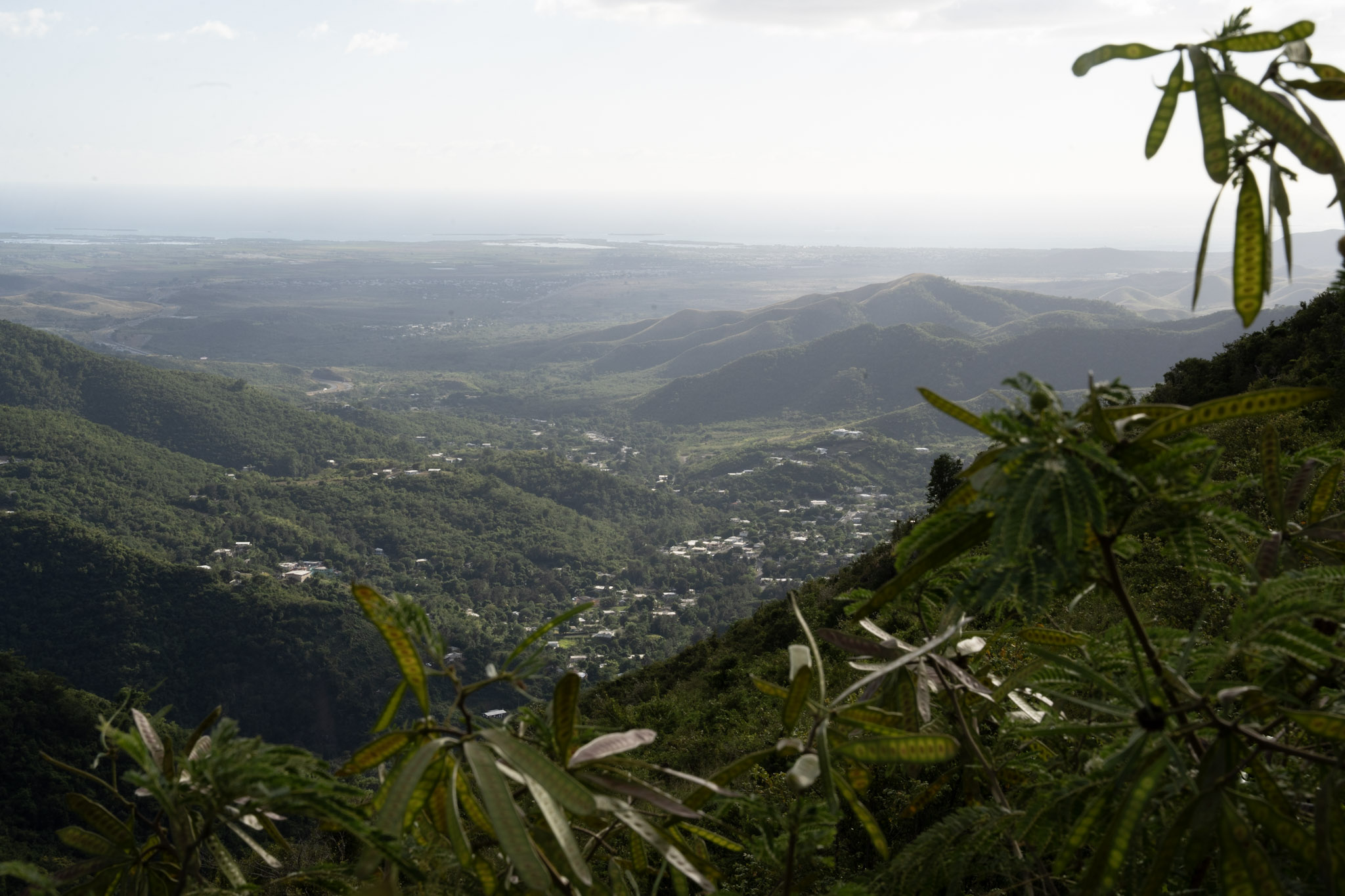 Cayey - foto 164
