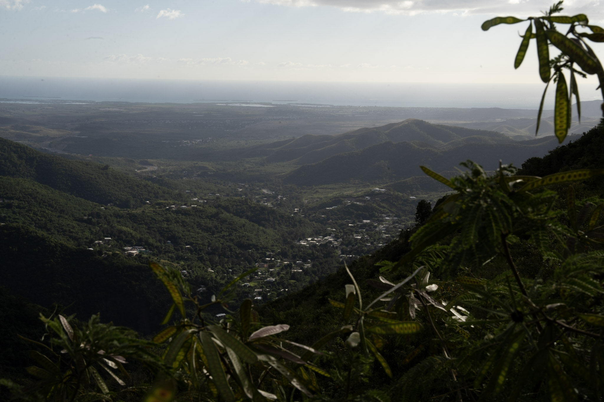 Cayey - foto 165