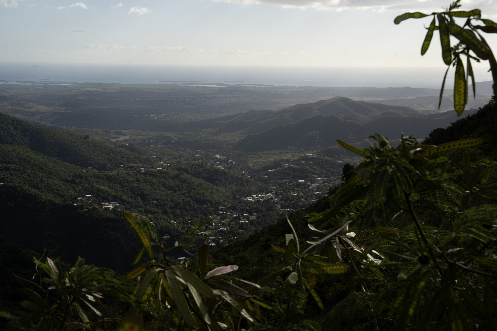 Cayey - foto 166