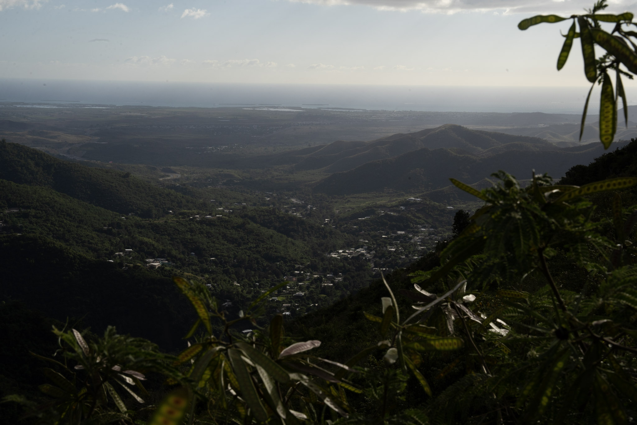 Cayey - foto 168