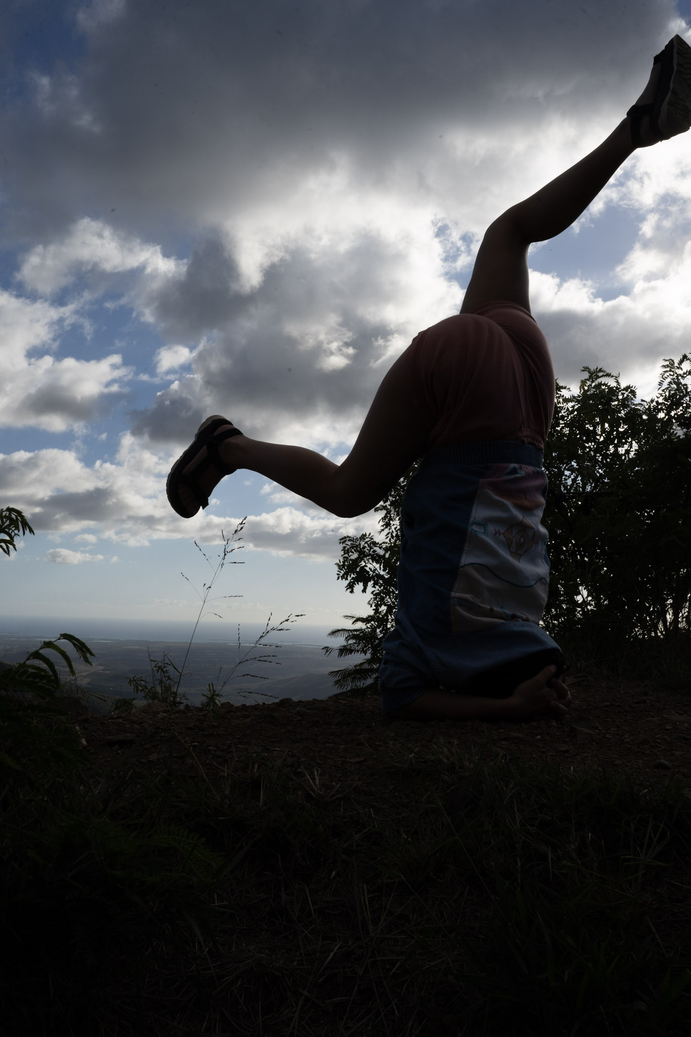 Cayey - foto 169