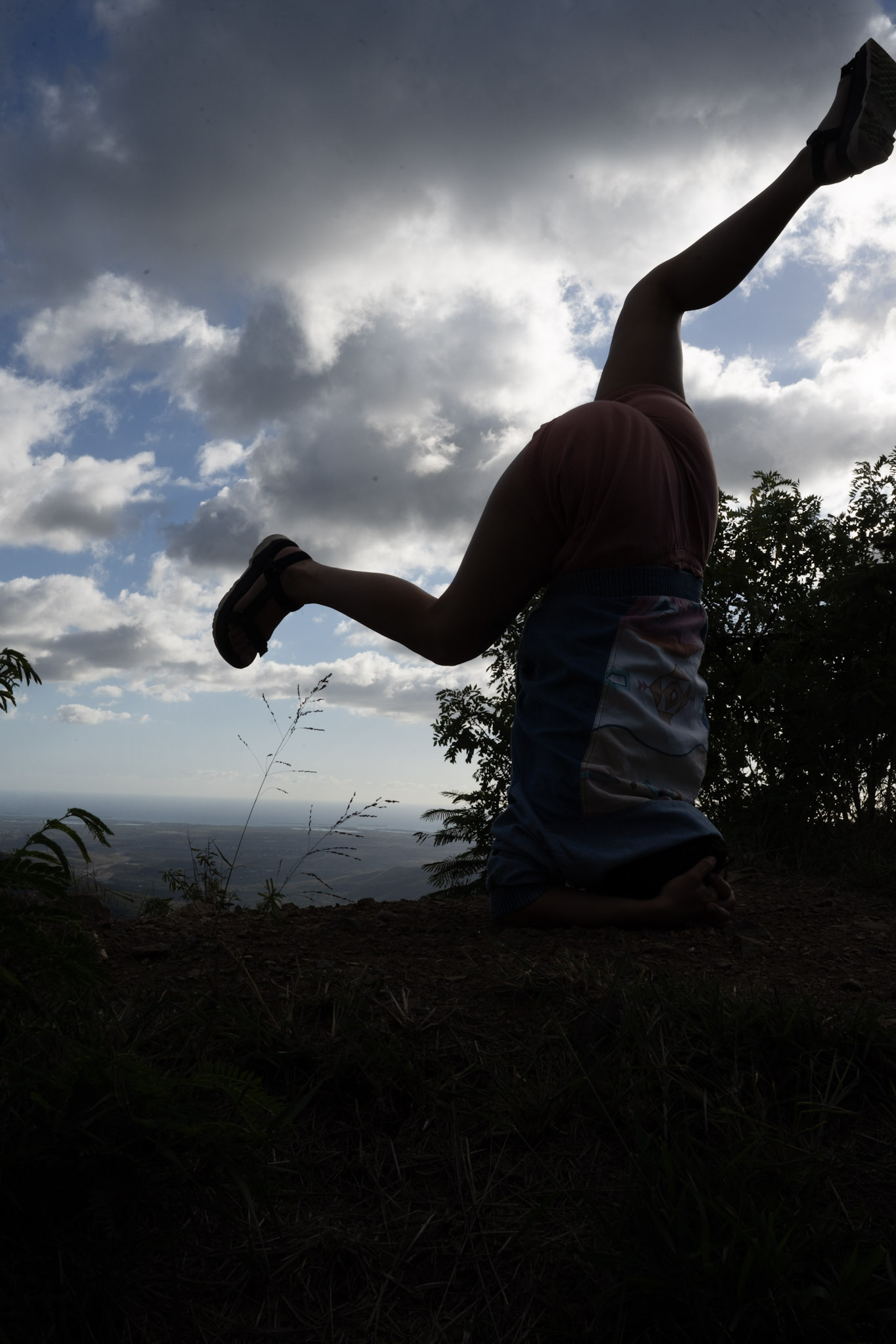 Cayey - foto 170
