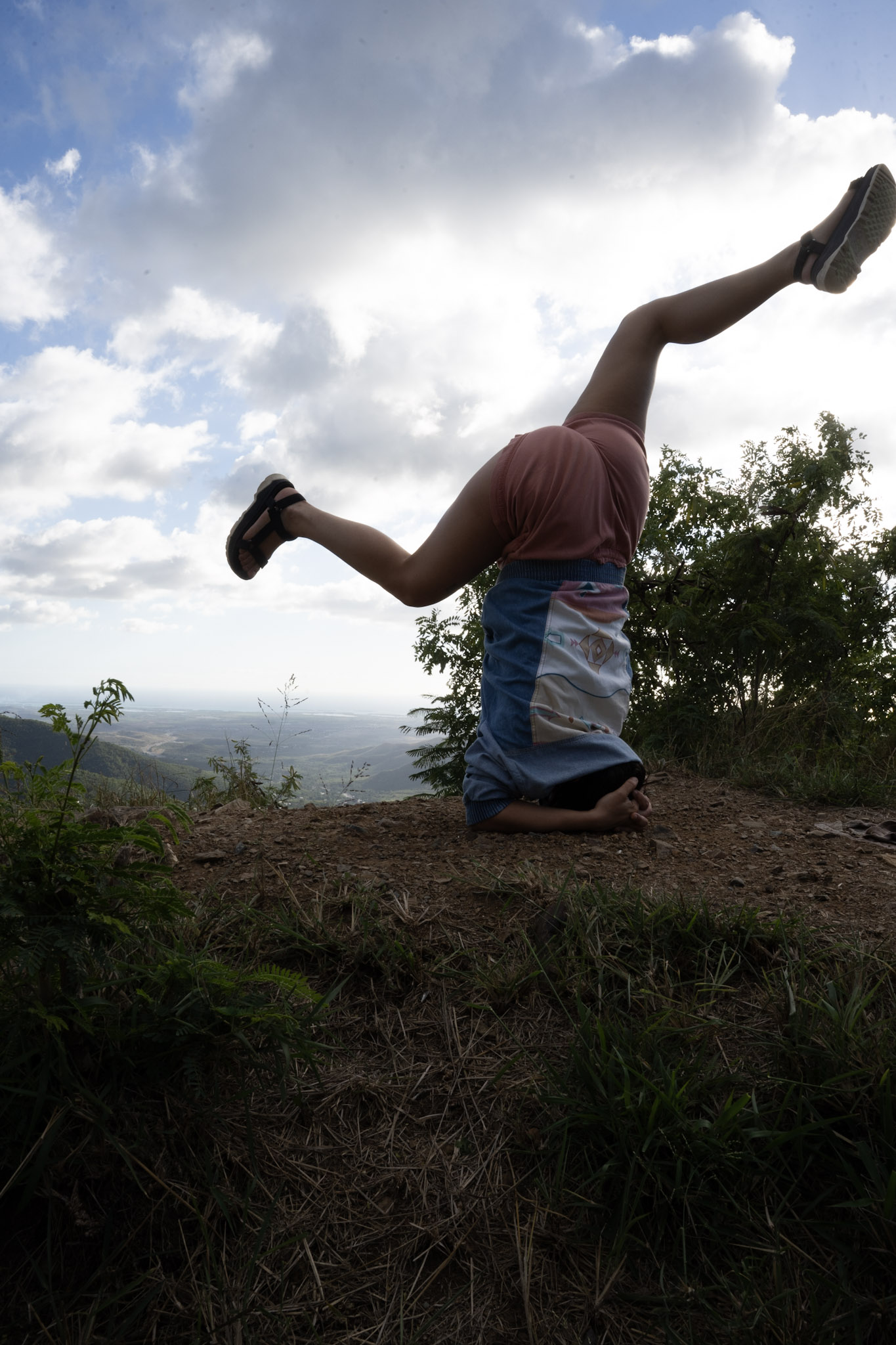 Cayey - foto 175