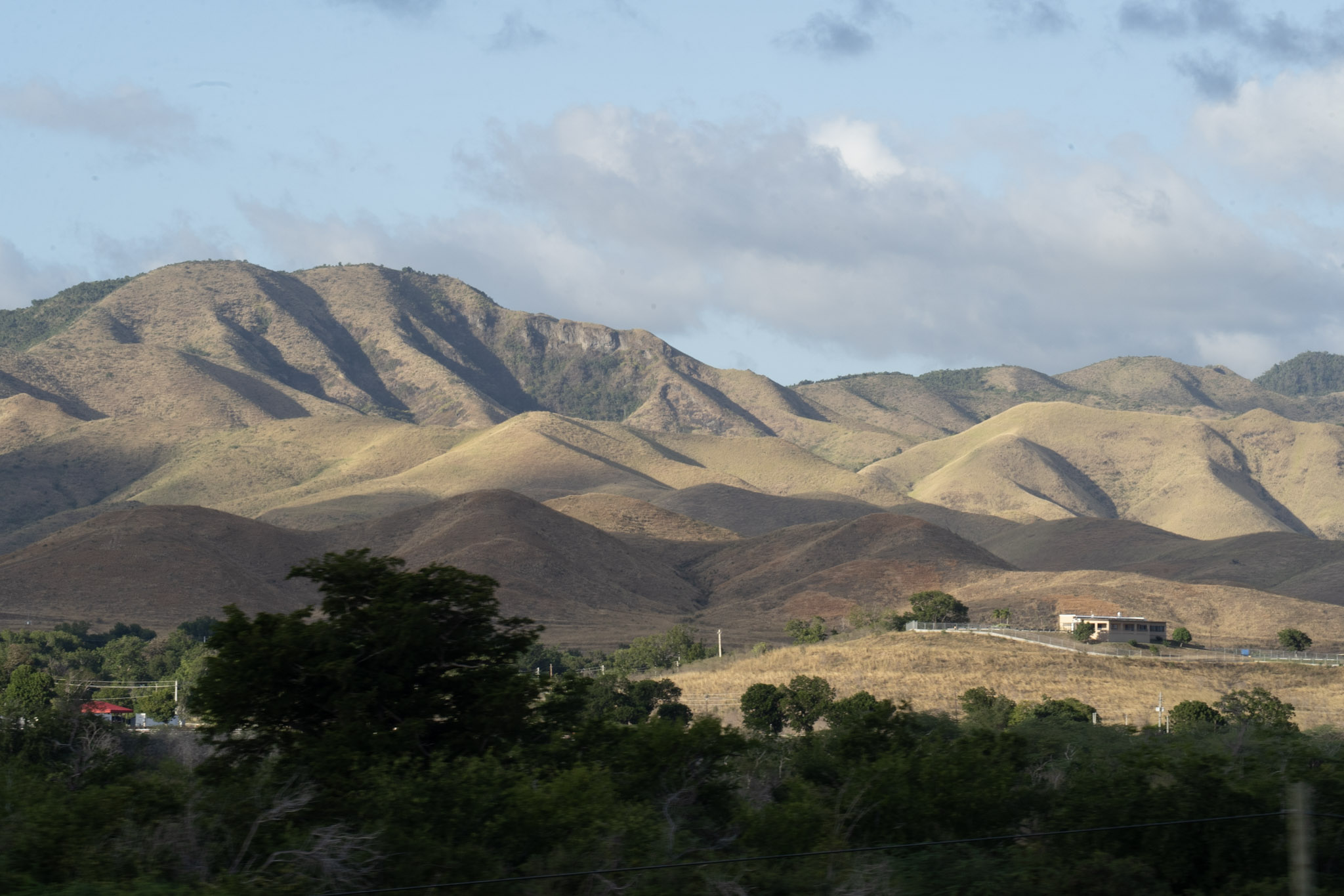 Cayey - foto 188