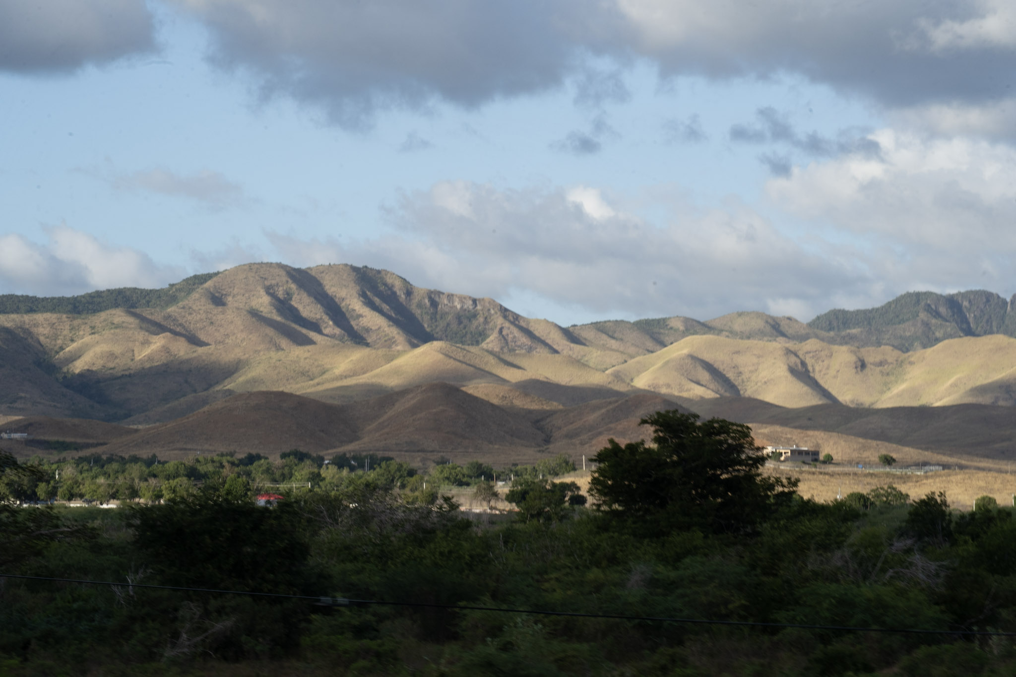 Cayey - foto 189