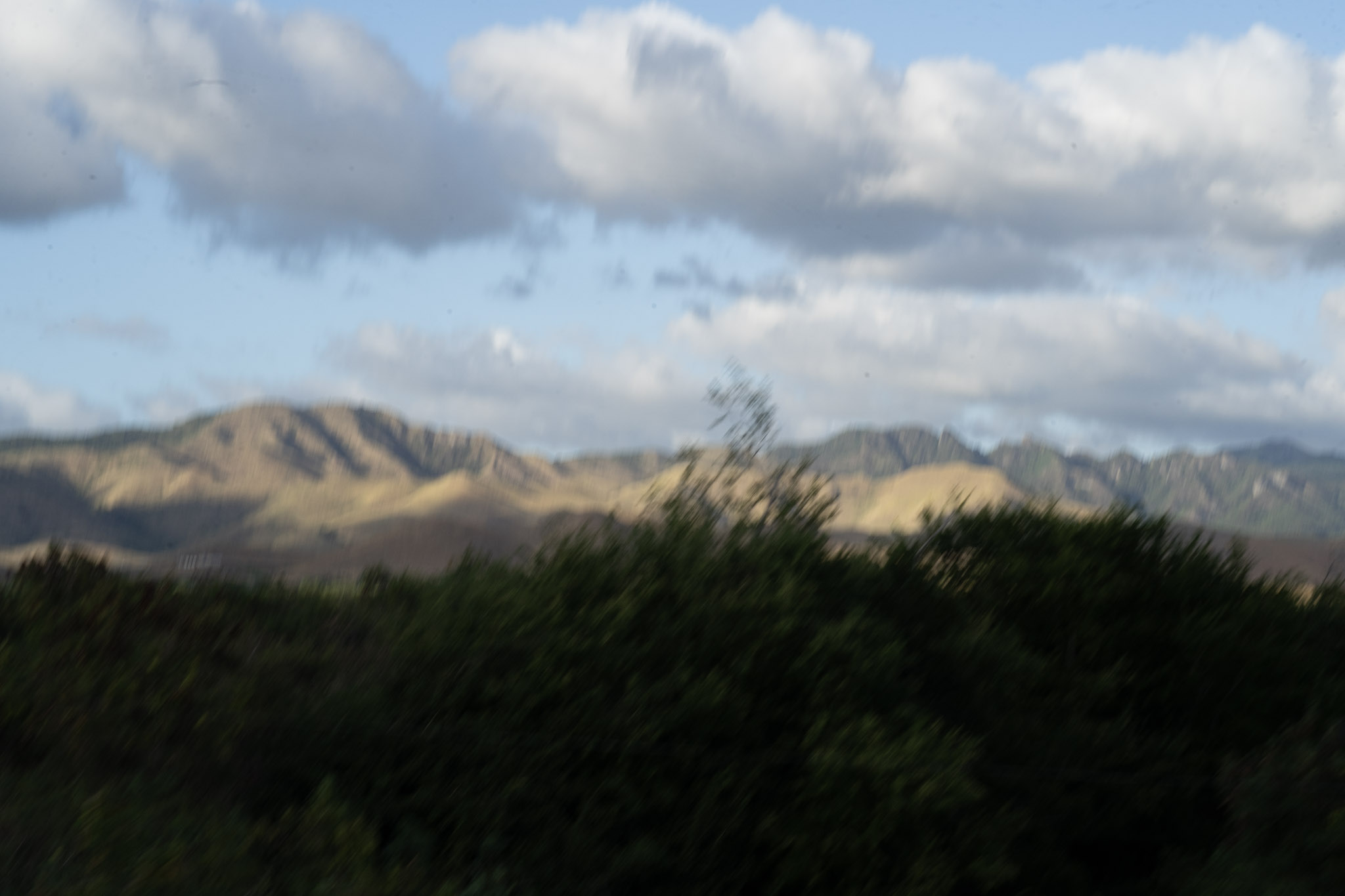 Cayey - foto 193
