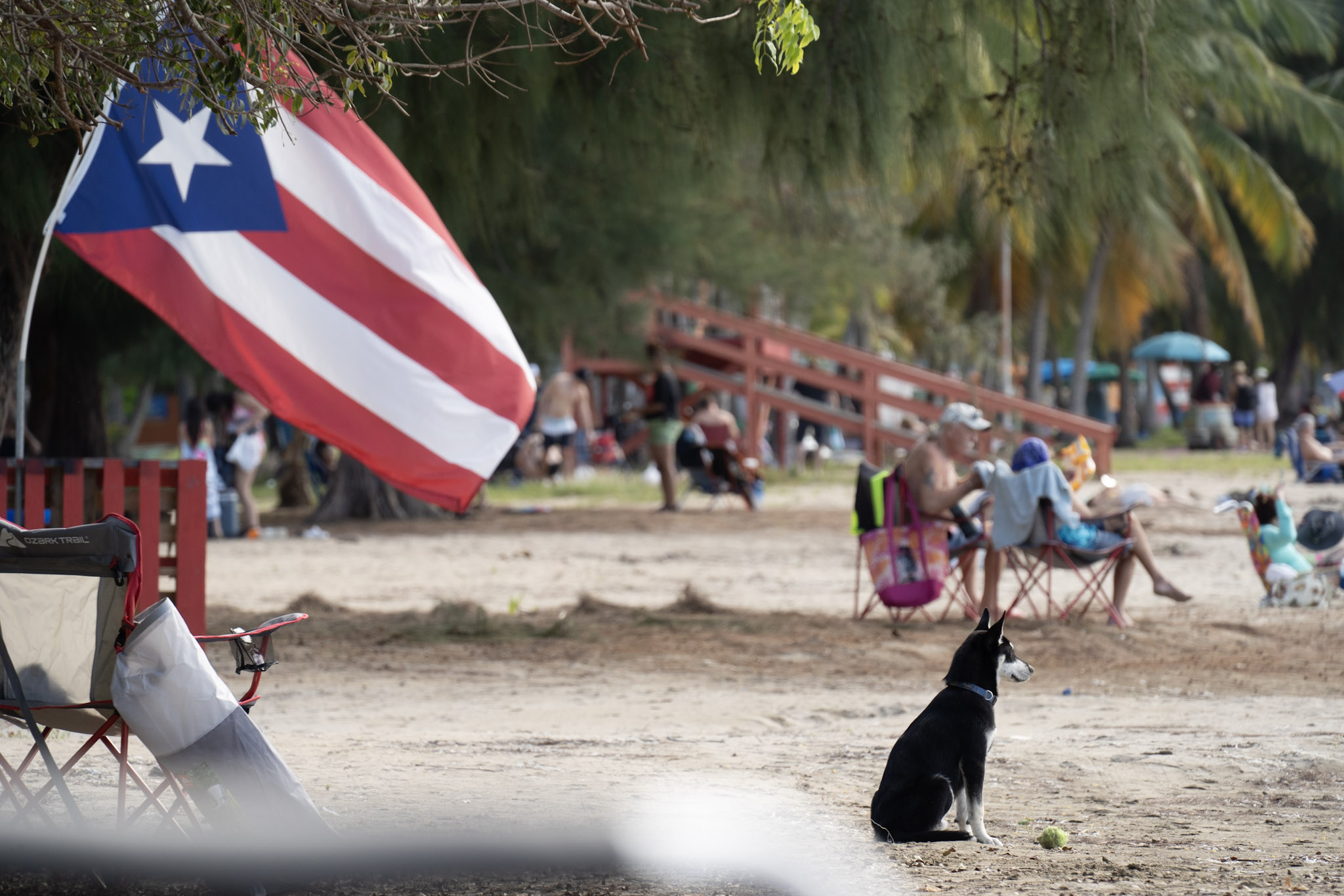 2021-12-30_Luquillo - foto 159