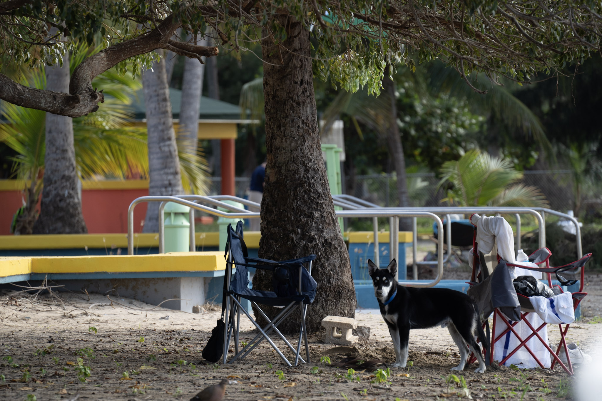 2021-12-30_Luquillo - foto 161