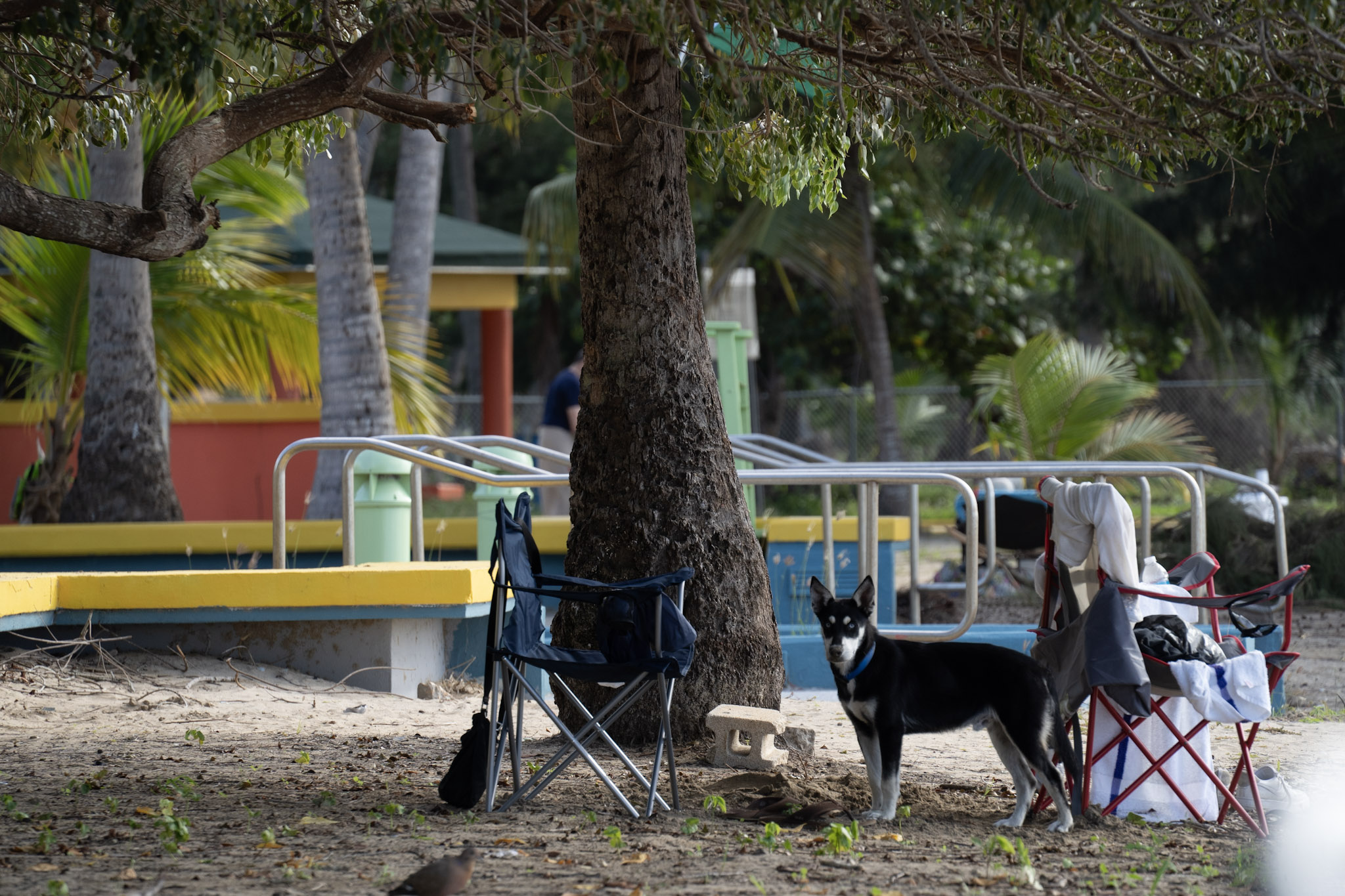 Luquillo - foto 160