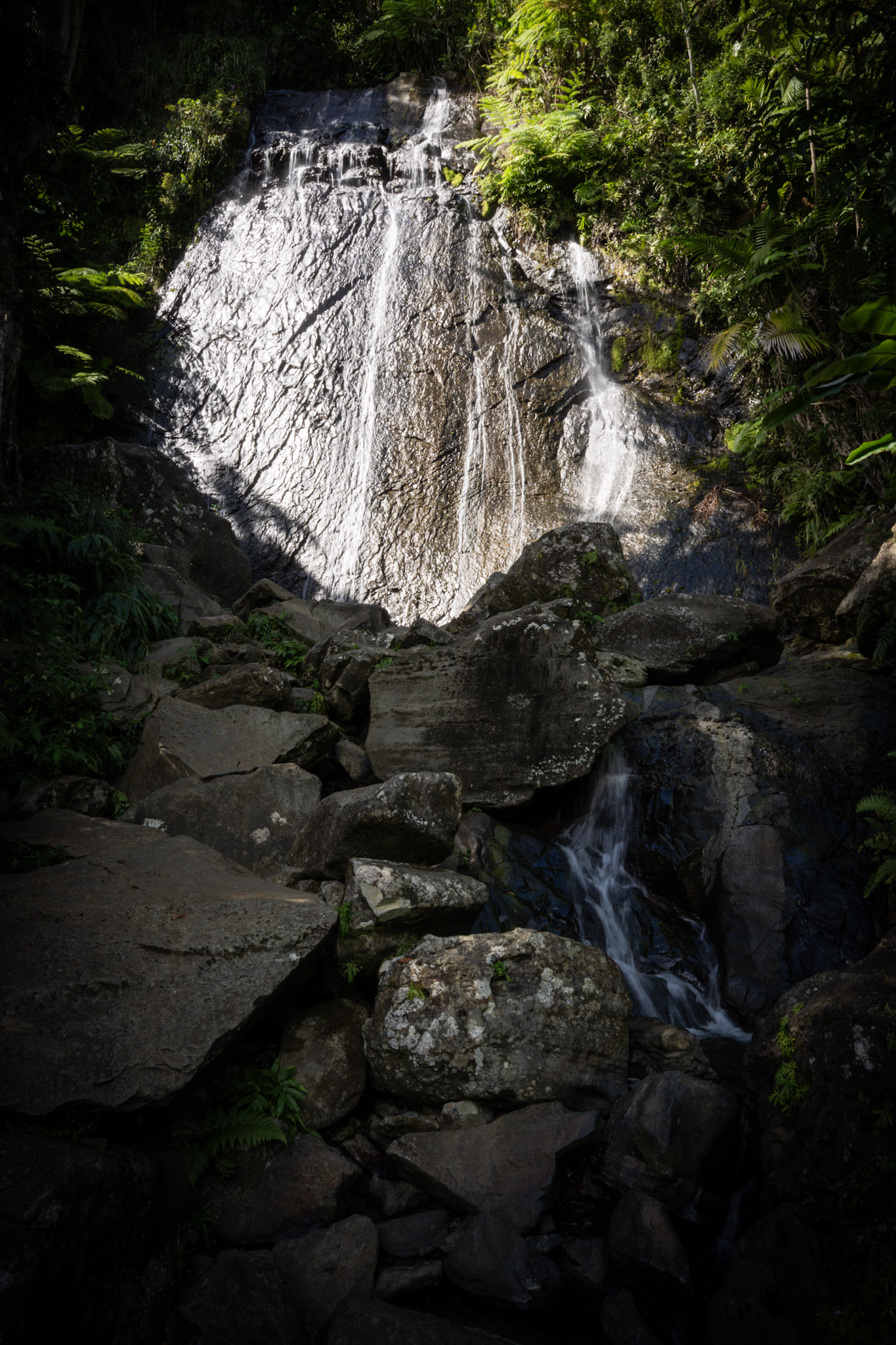 2022-01-02_Yunque - foto 8
