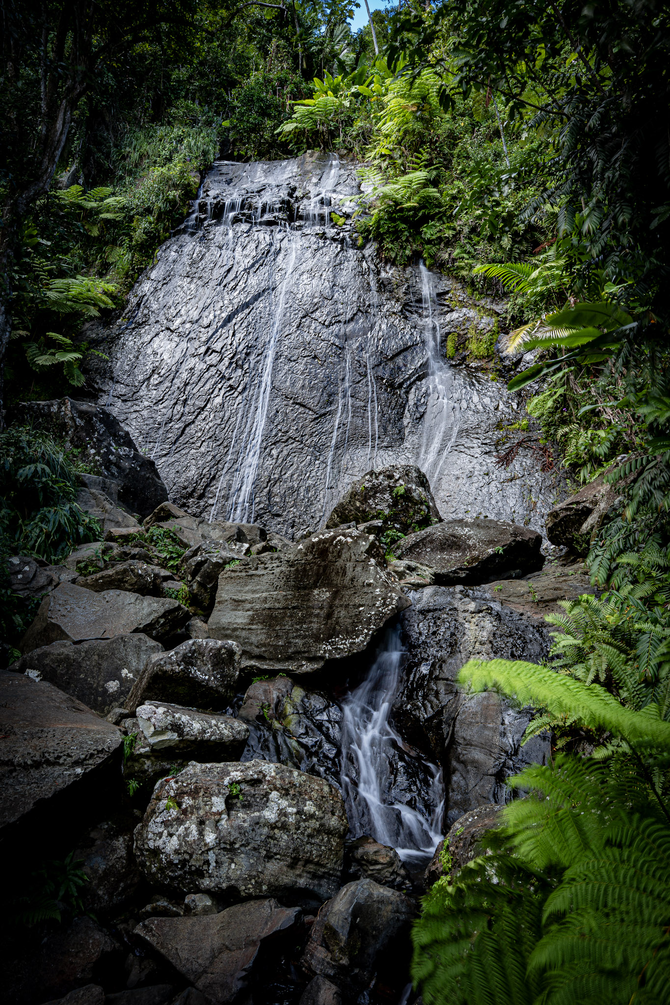 2022-01-02_Yunque - foto 39