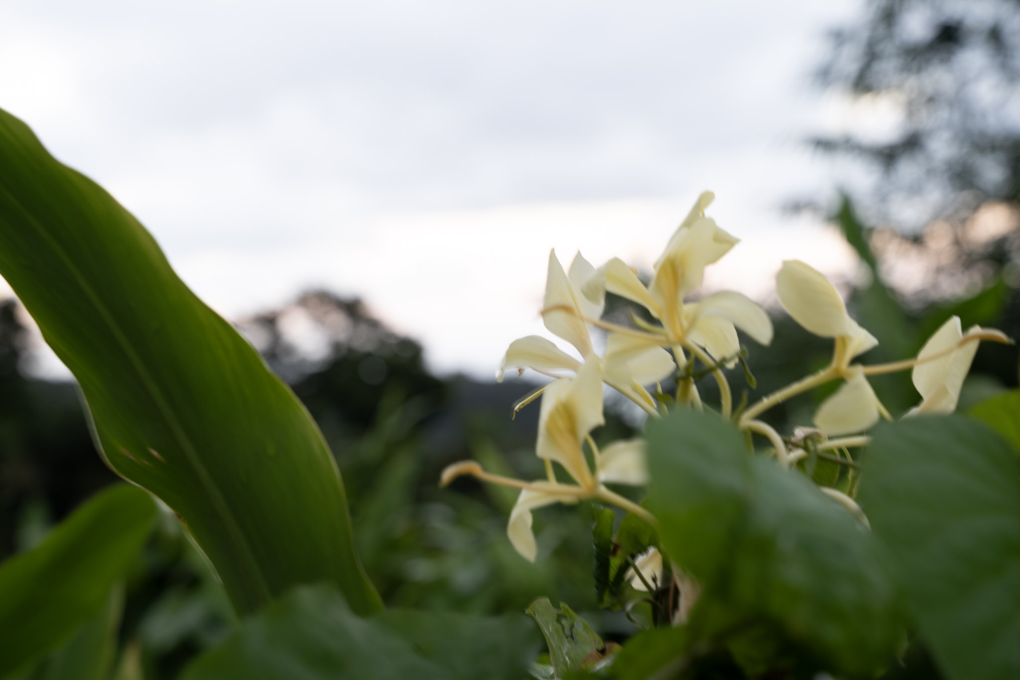 2022-01-02_Yunque - foto 198