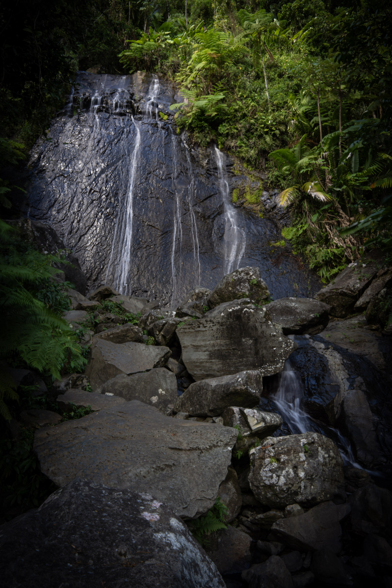 Yunque - foto 2