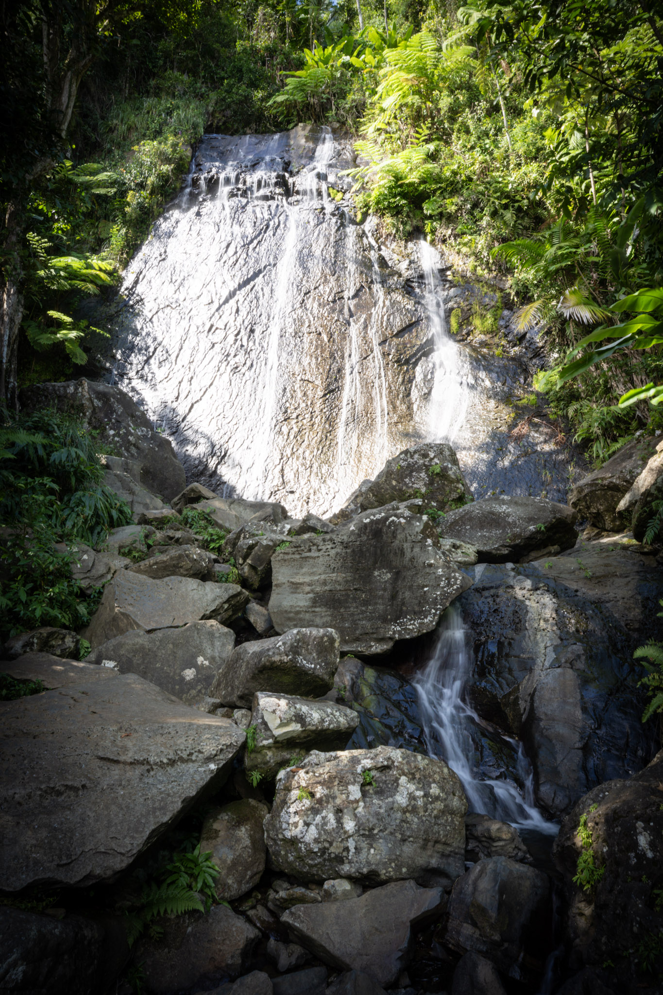 Yunque - foto 3