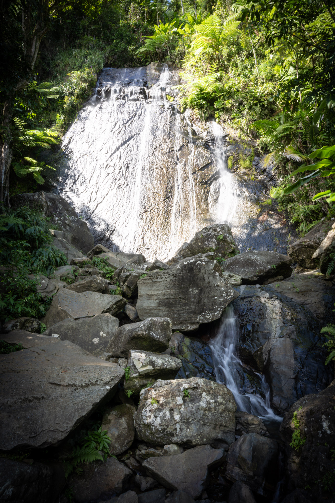 Yunque - foto 5