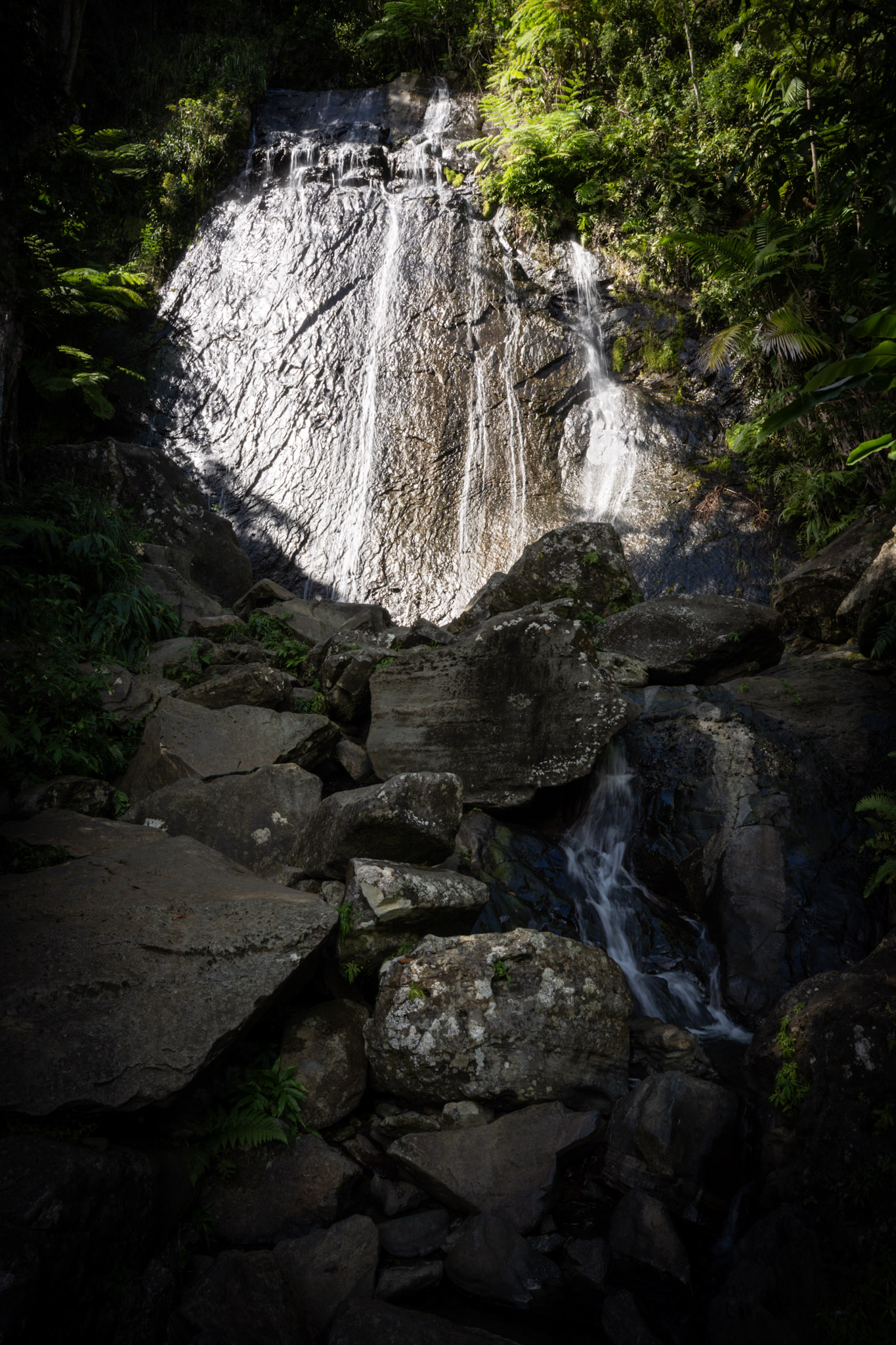 Yunque - foto 7