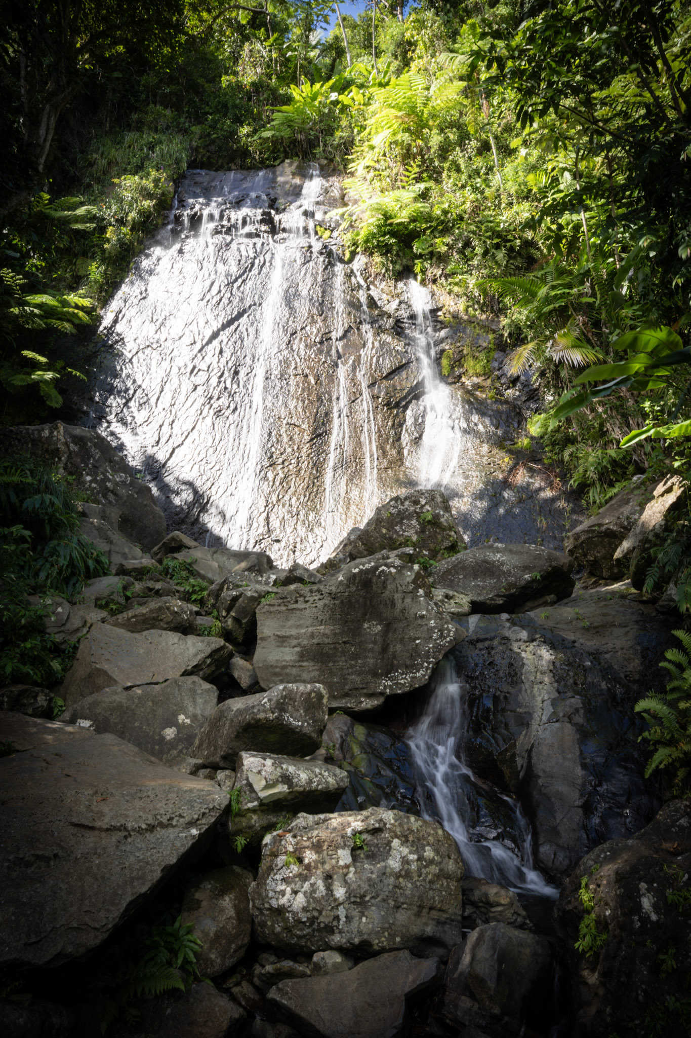 Yunque - foto 9
