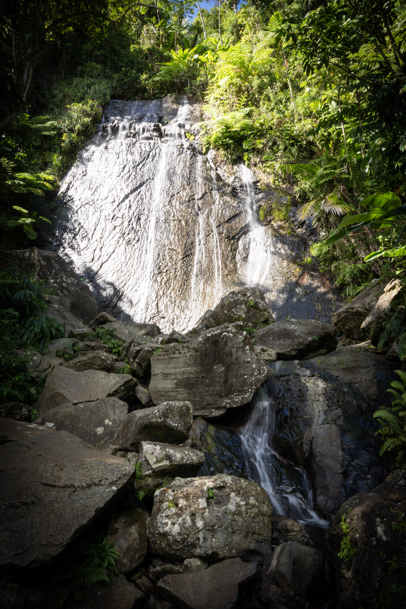 Yunque - foto 12