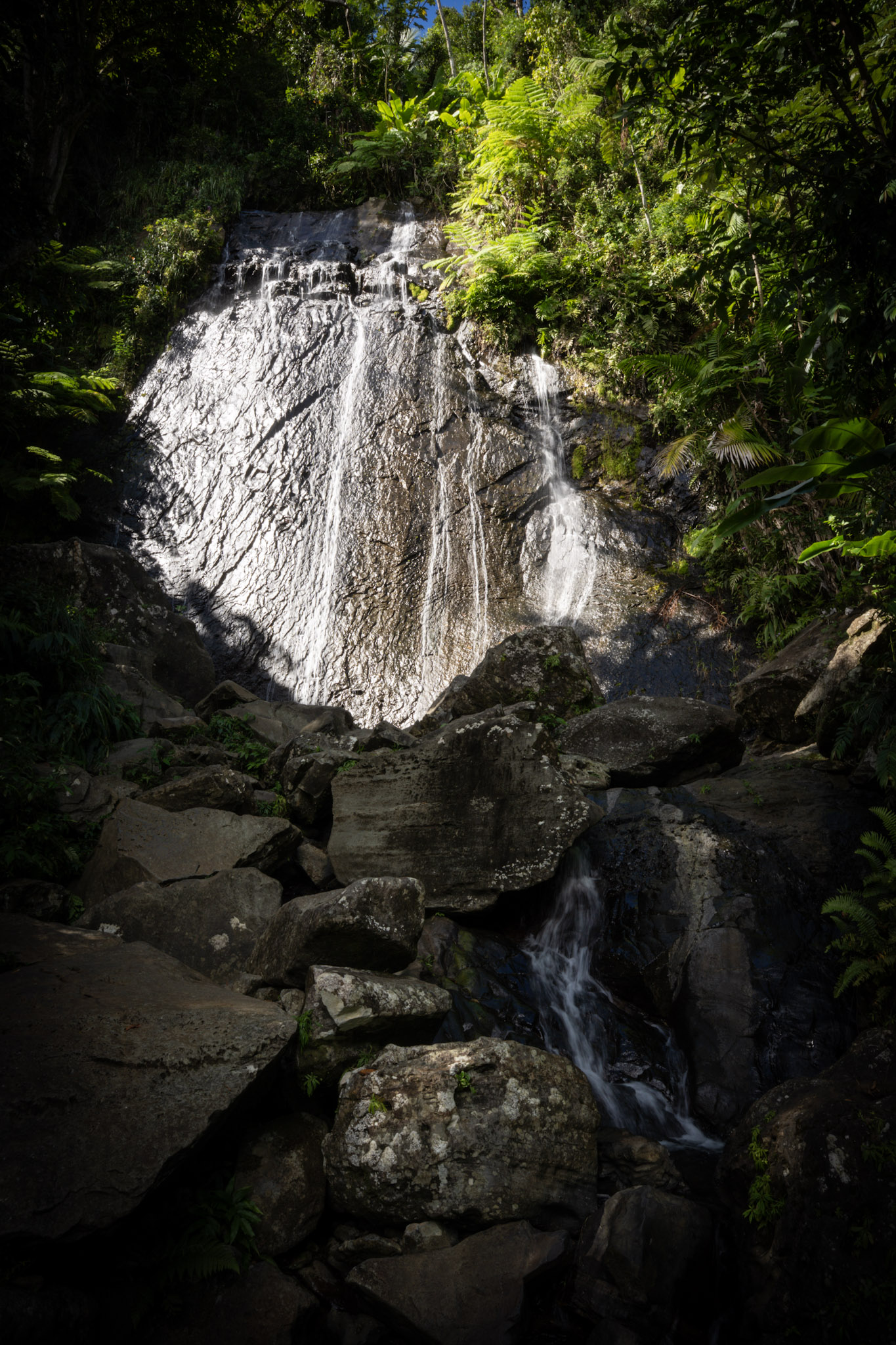 Yunque - foto 14