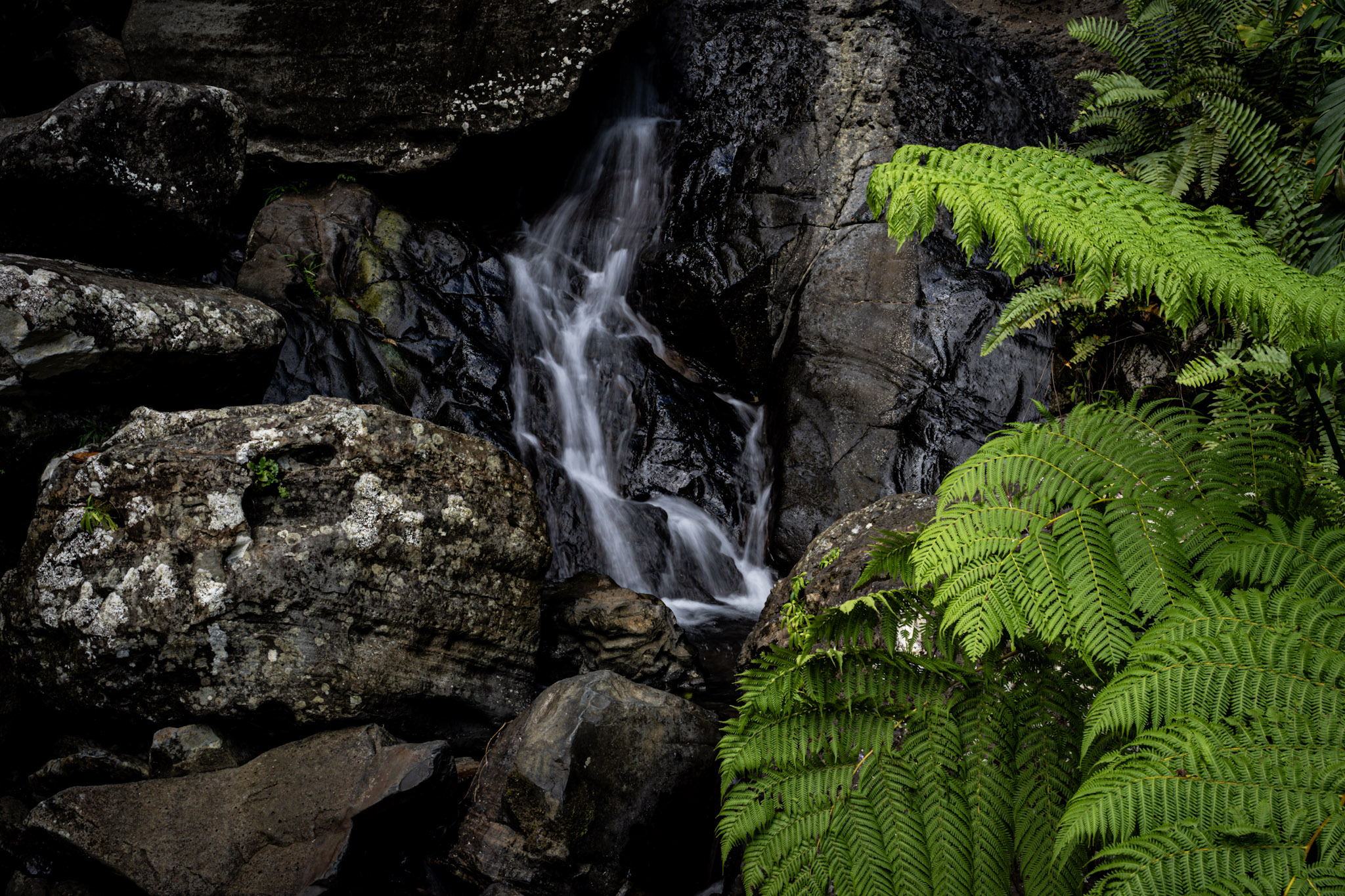 Yunque - foto 17
