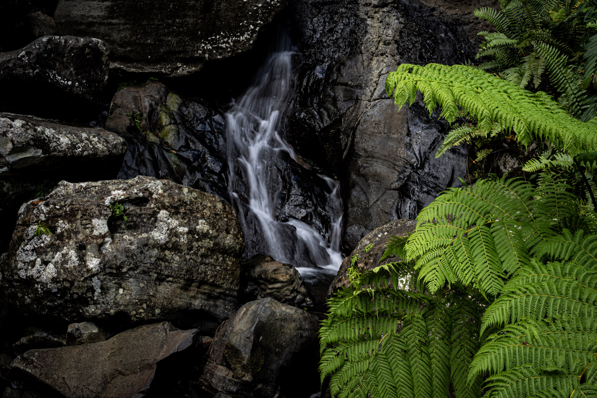 Yunque - foto 18
