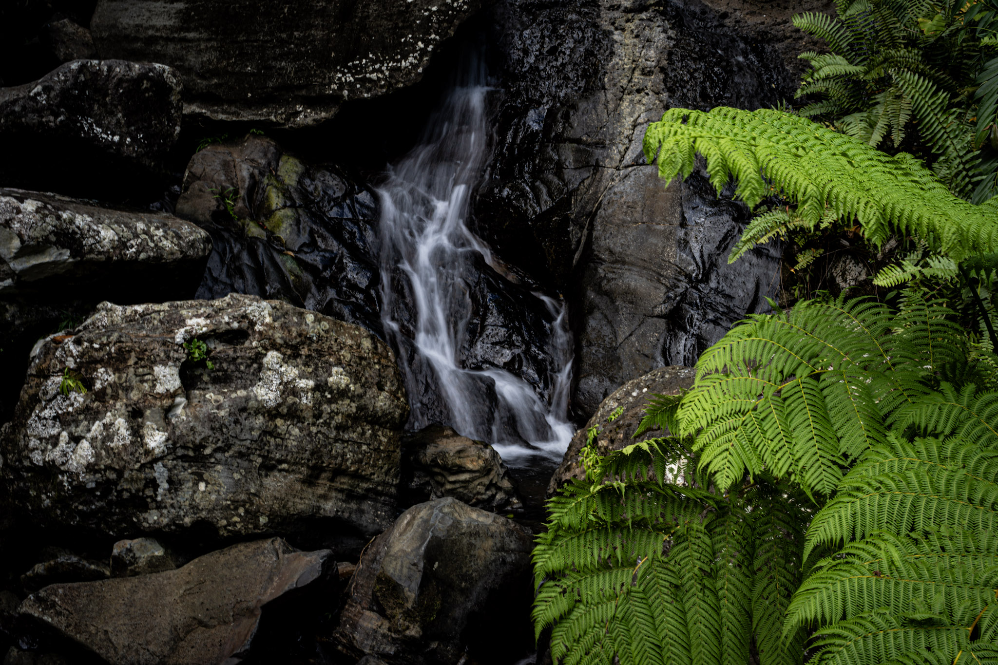 Yunque - foto 20